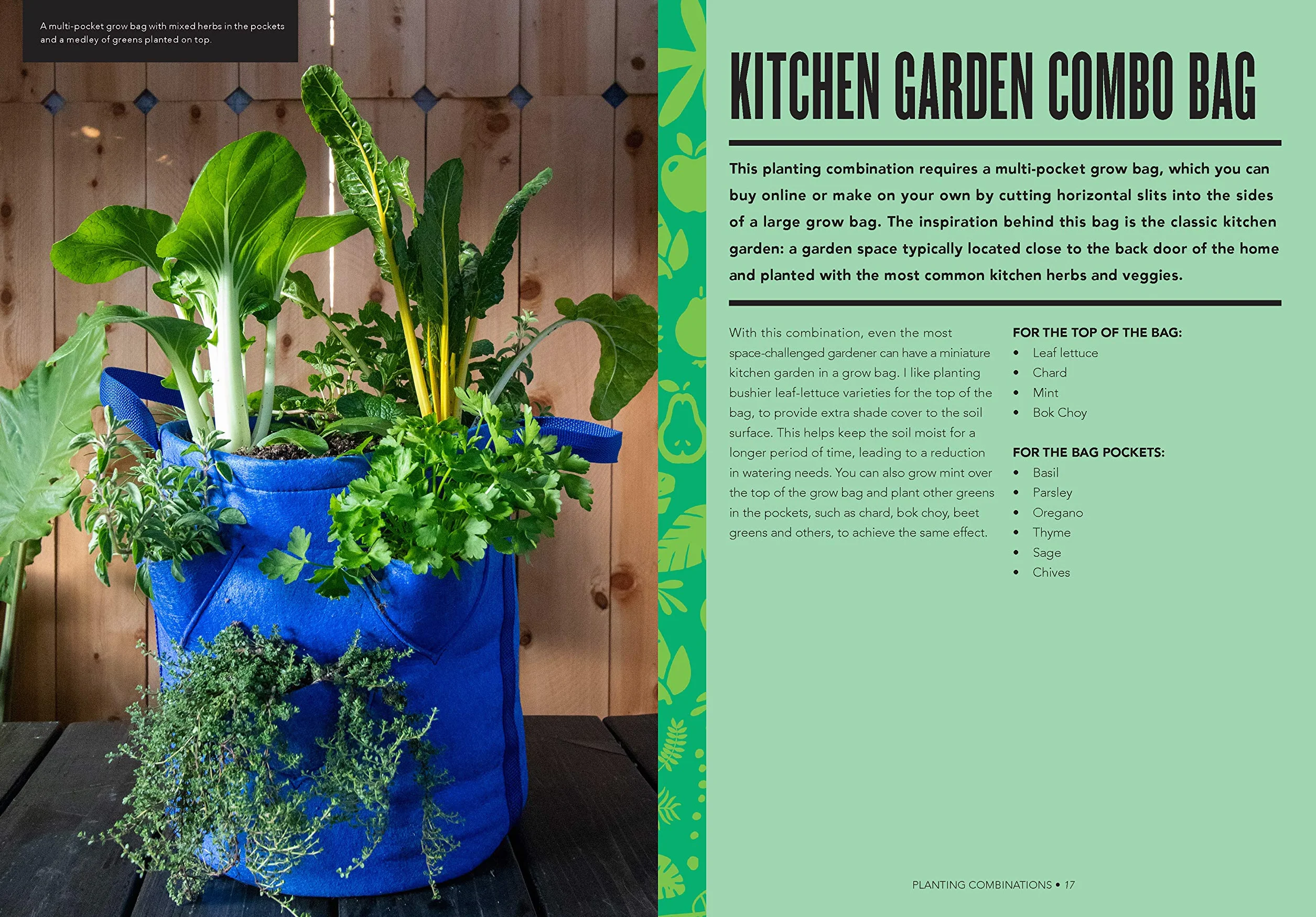 Grow Bag Gardening: The Revolutionary Way to Grow Bountiful Vegetables, Herbs, Fruits, and Flowers in Lightweight, Eco-Friendly Fabric Pots - Perfect ... Gardens, Balconies & Rooftops. Grow Anywhere!