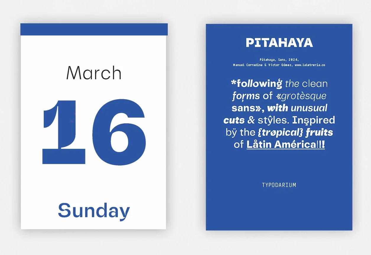 Typodarium 2025 /anglais/allemand: A 365 Day Type Calendar