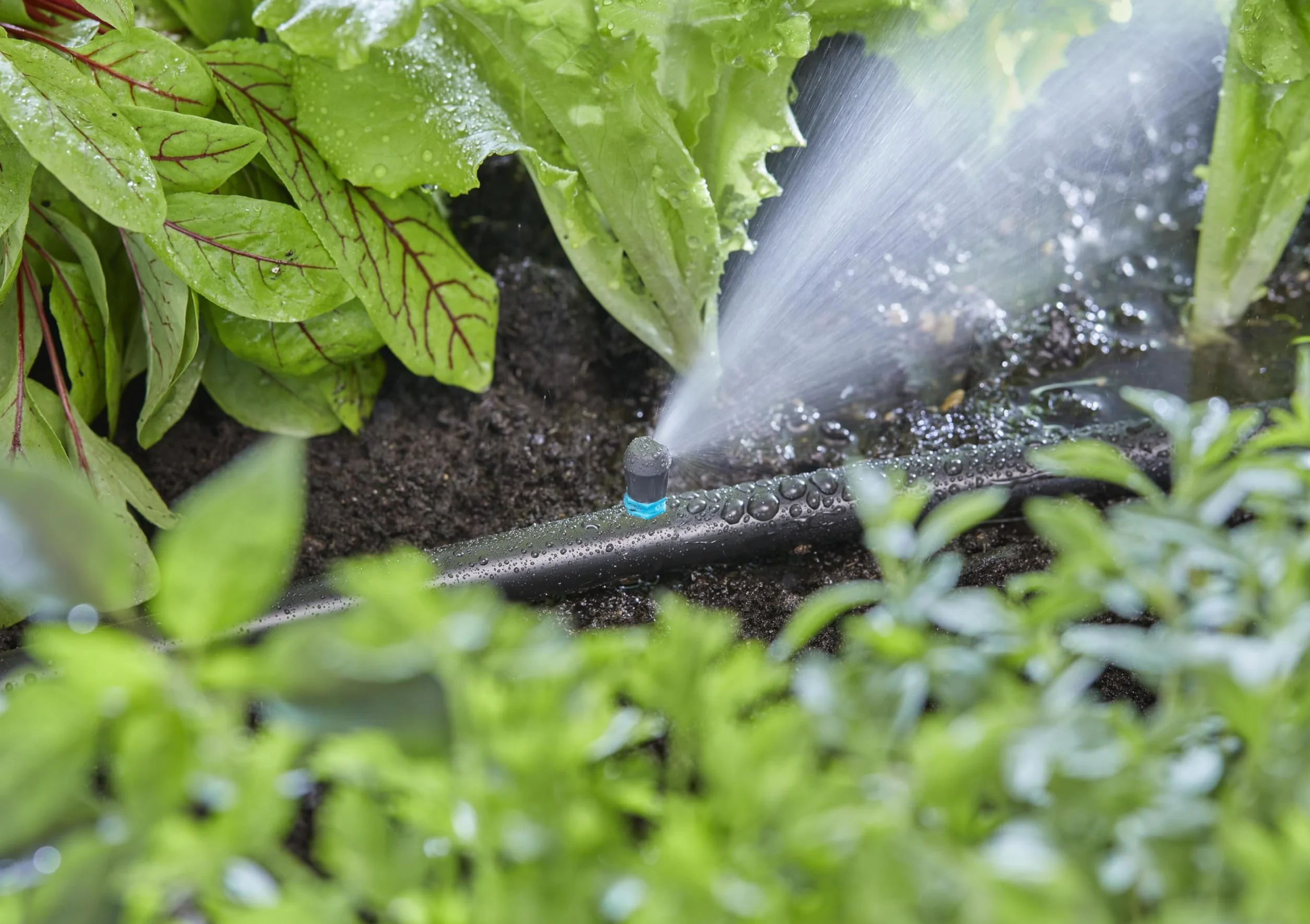Gardena system Micro-Drip dysza końcowa pasmowa: Dysza rozpylająca do systemu nawadniania, do wąskich podłużnych powierzchni maks. 0,6 x 2,75 m, prosta technika połączeniowa (13318-20)