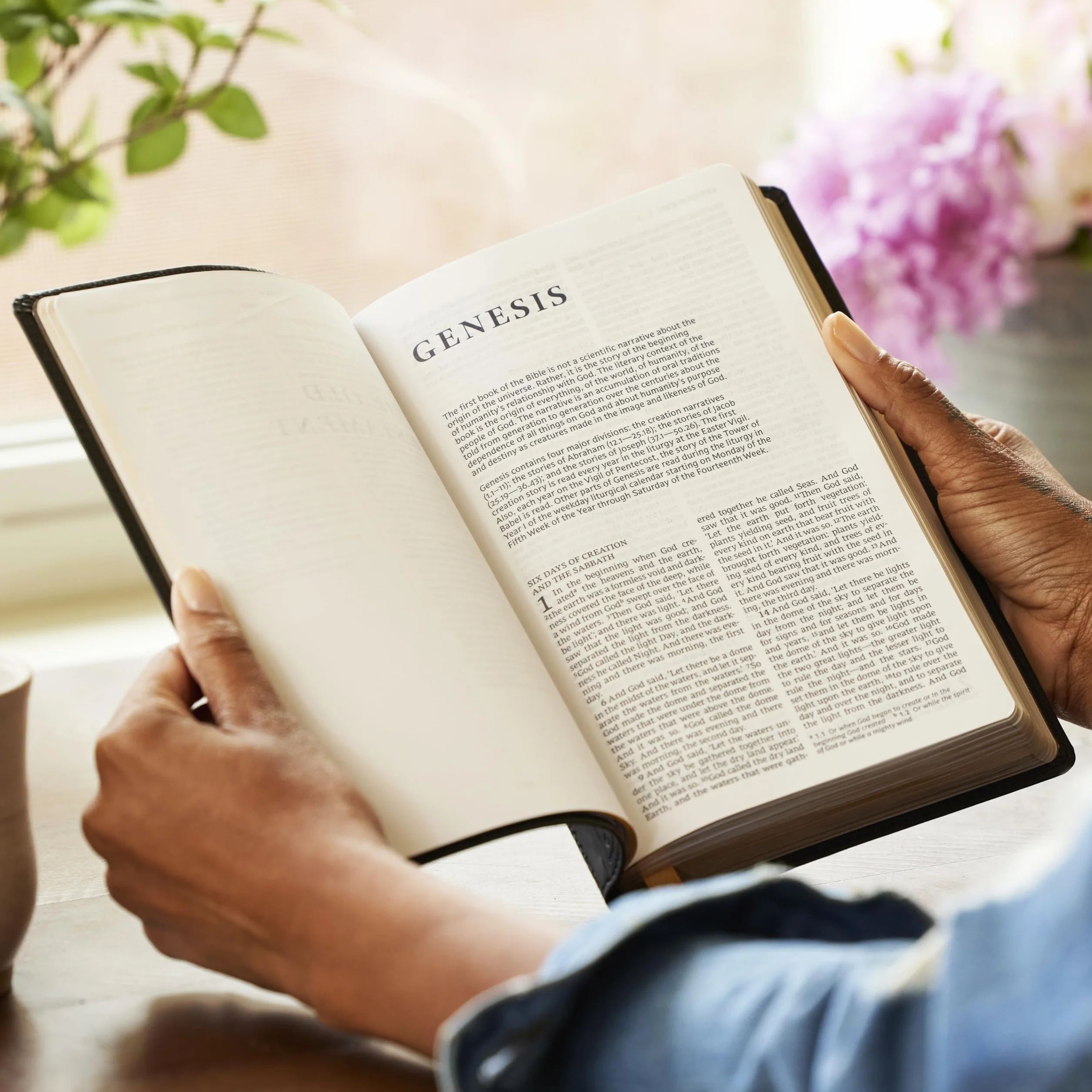 Nrsv, Catholic Bible, Gift Edition, Leathersoft, Teal, Comfort Print: Holy Bible