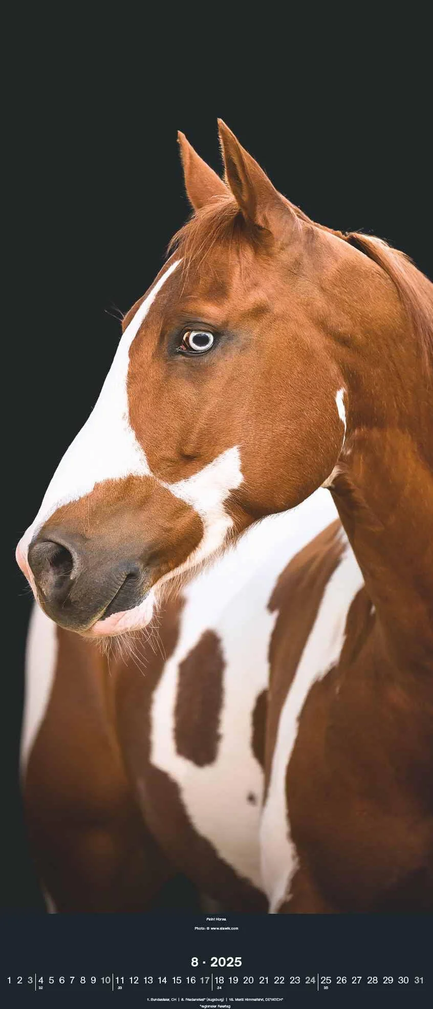 N NEUMANNVERLAGE - Beautiful Horses 2025 Wandkalender, 30x70cm, Kalender mit zwölf grandiosen Pferdeportraits, außergewöhnliche Aufnahmen, Spiralbindung und internationales Kalendarium
