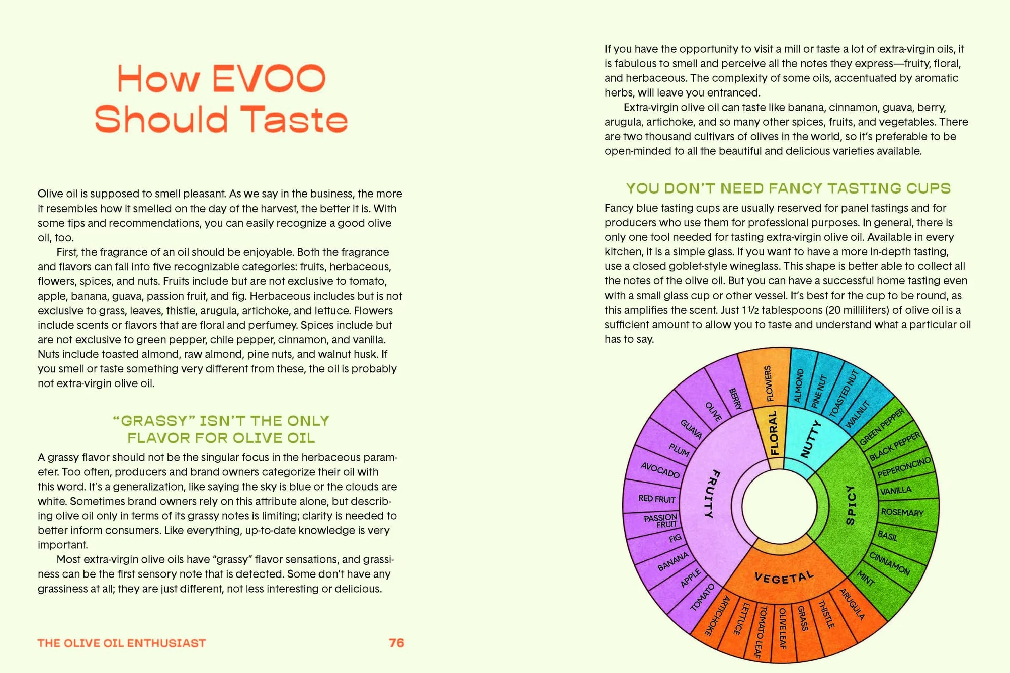 The Olive Oil Enthusiast: A Guide from Tree to Table, with Recipes