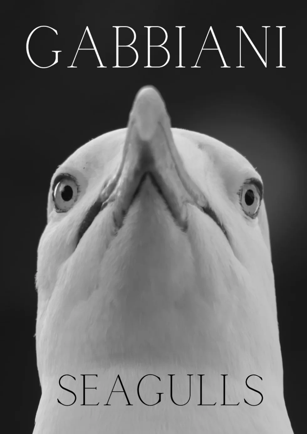Gabbiani, Libro fotografico di Gabbiani - Seagulls, Photographic book by Seagulls: Nel Volo dei Gabbiani: Un Viaggio Fotografico tra Cielo e Mare - Libro fotografico di Gabbiani