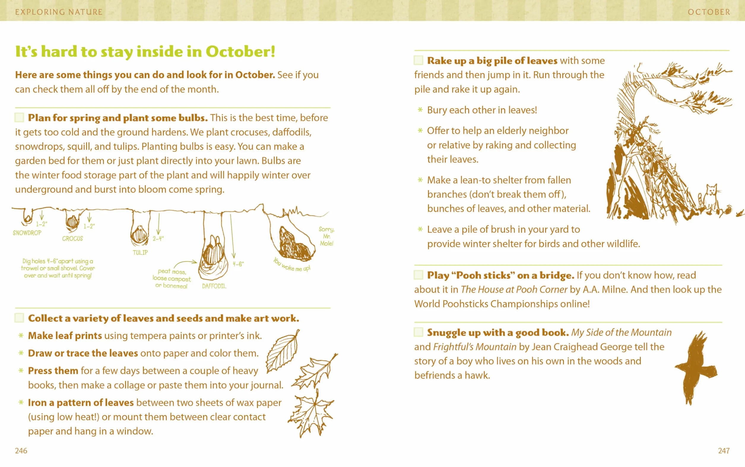 The Nature Connection: An Outdoor Workbook for Kids, Families, and Classrooms