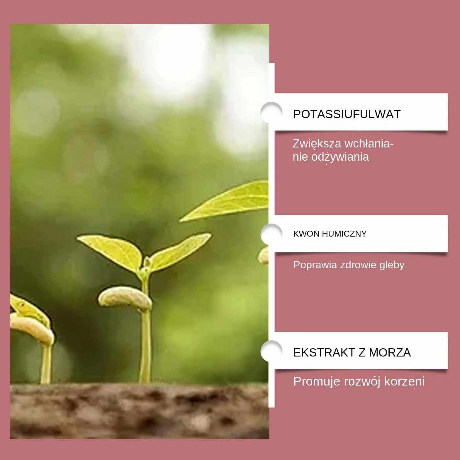 Stymulator Ukorzeniania Roślin,Skuteczny Wielofunkcyjny Nawóz do Gleby | Aktywator Wzrostu Roślin - Dla Szklarni Ogrodu Podwórka Działki Farmy Ganku Trawnika Warzyw Drzew Upraw