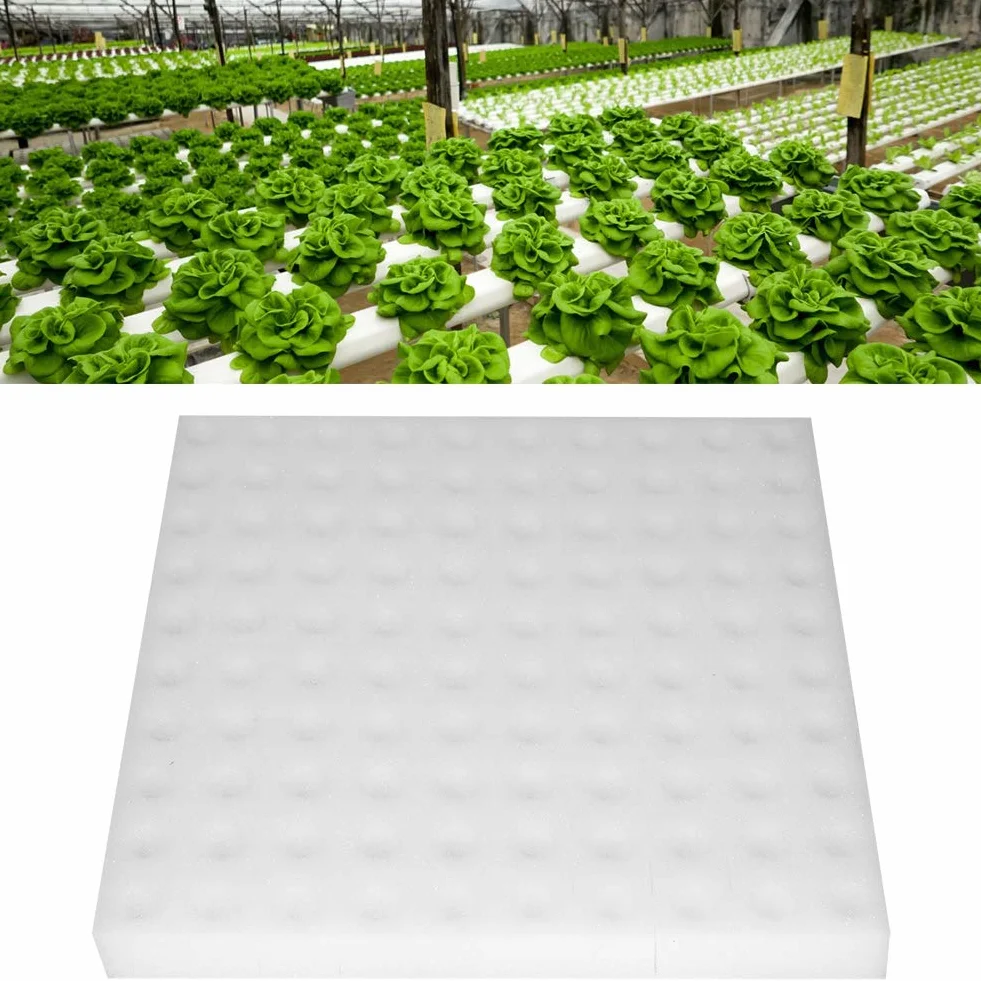 Gąbka Hydroponiczna, Biuzi 100pcs Narzędzie Do Plantacji Gąbki Hydroponicznej Kwadratowe Urządzenie Do Uprawy Bezgruntowej, Stosowane Do Małych Roślin Wzrostu Pąków Lub Nasion