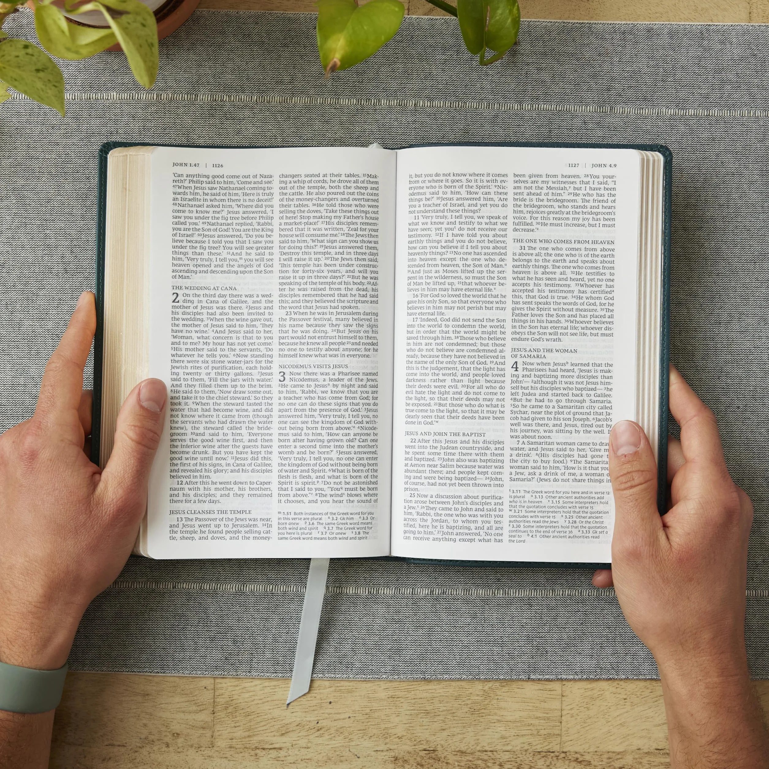 Nrsv, Catholic Bible, Gift Edition, Leathersoft, Teal, Comfort Print: Holy Bible