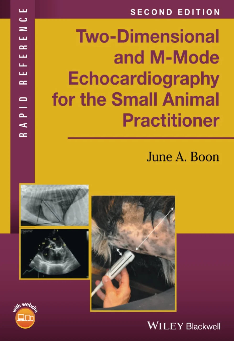 Two-Dimensional and M-Mode Echocardiography for the Small Animal Practitioner