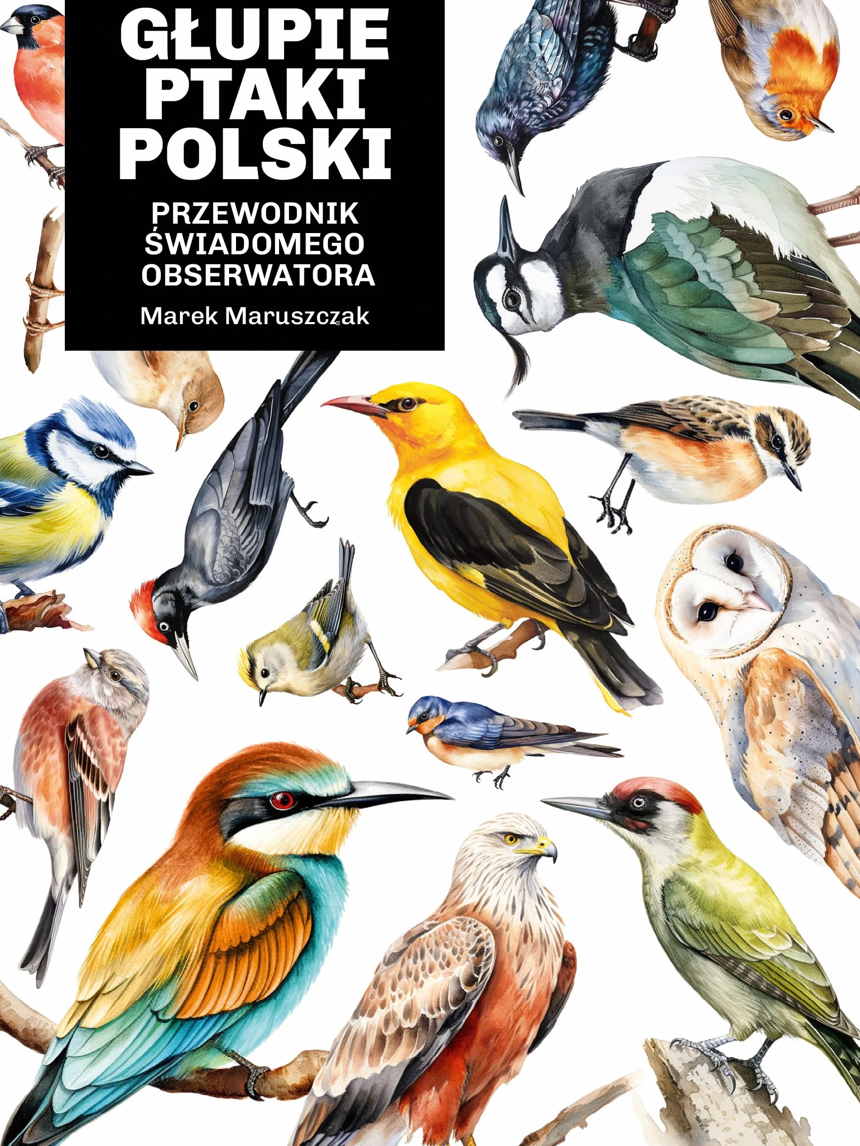 GŁUPIE PTAKI POLSKI. PRZEWODNIK ŚWIADOMEGO