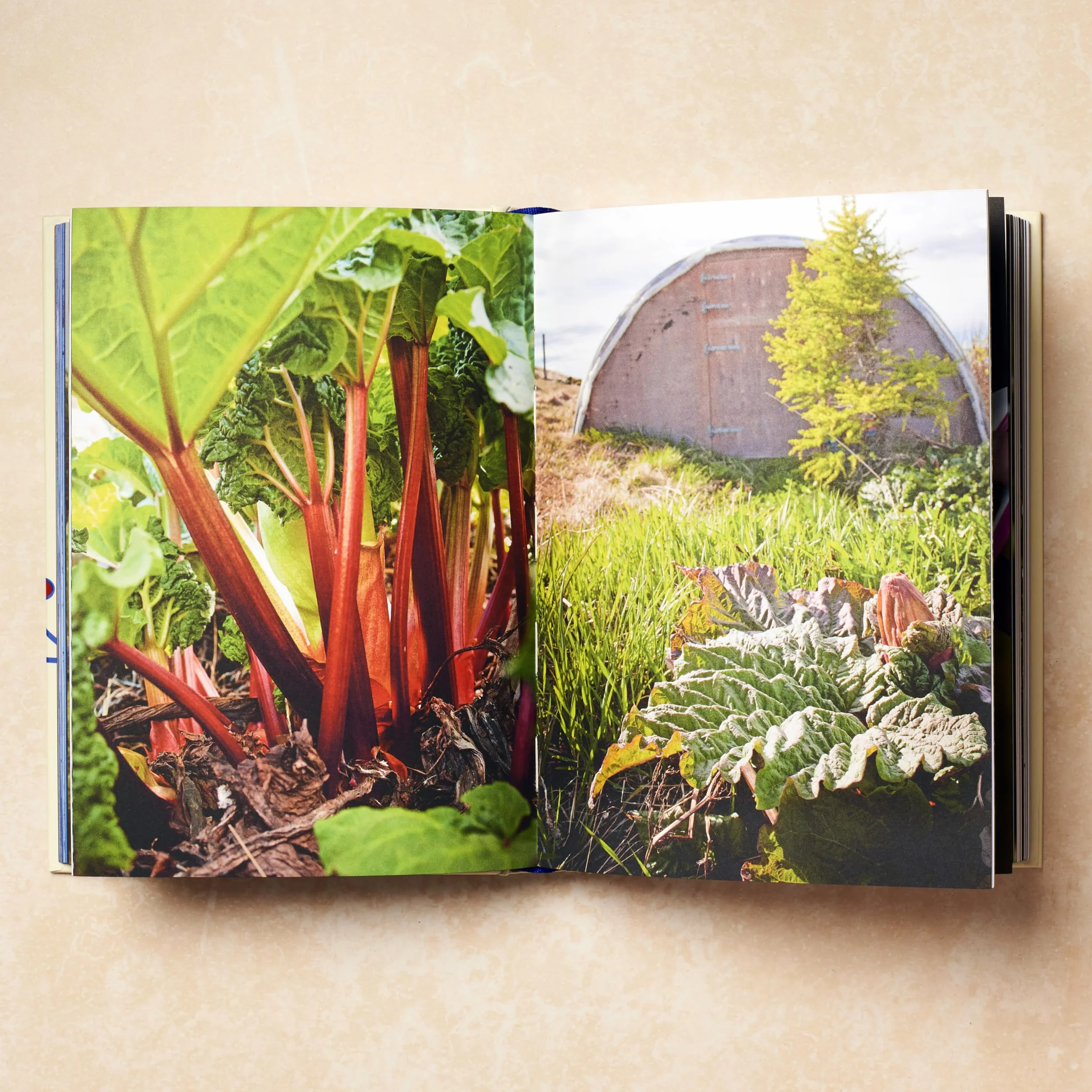 Scandinavia: Recipes and Ingredients: Authentic recipes and ingredients