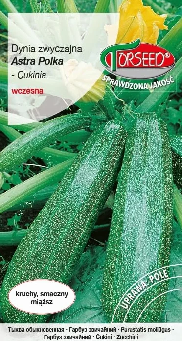 Cukinia astra nasiona Torseed nasiona z Torunia