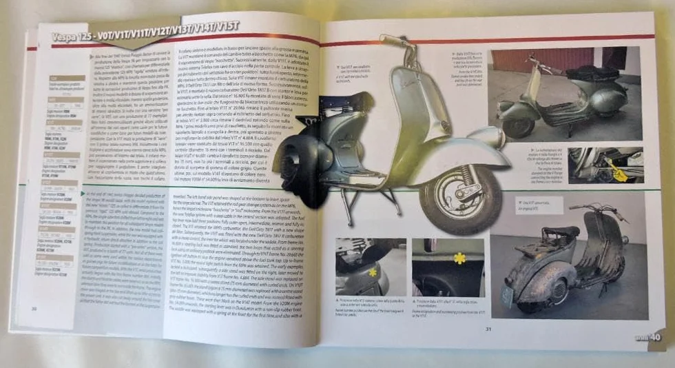 Vespa. Guida illustrata all'identificazione-Illustrated guide to the identification