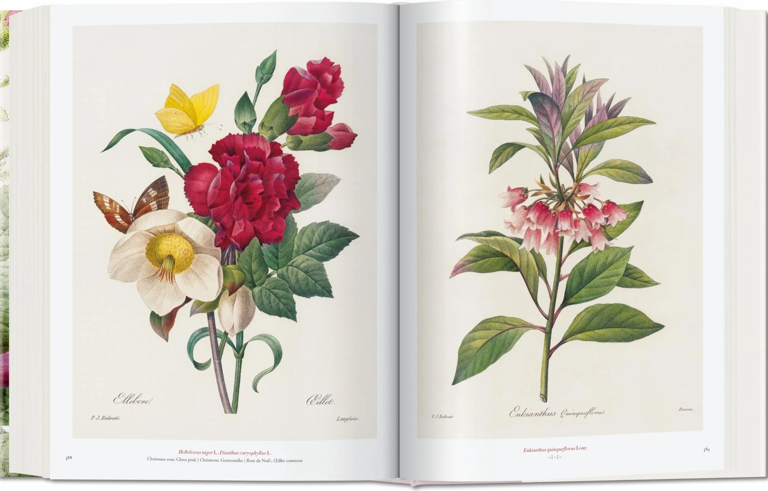 Redouté: El libro de las flores
