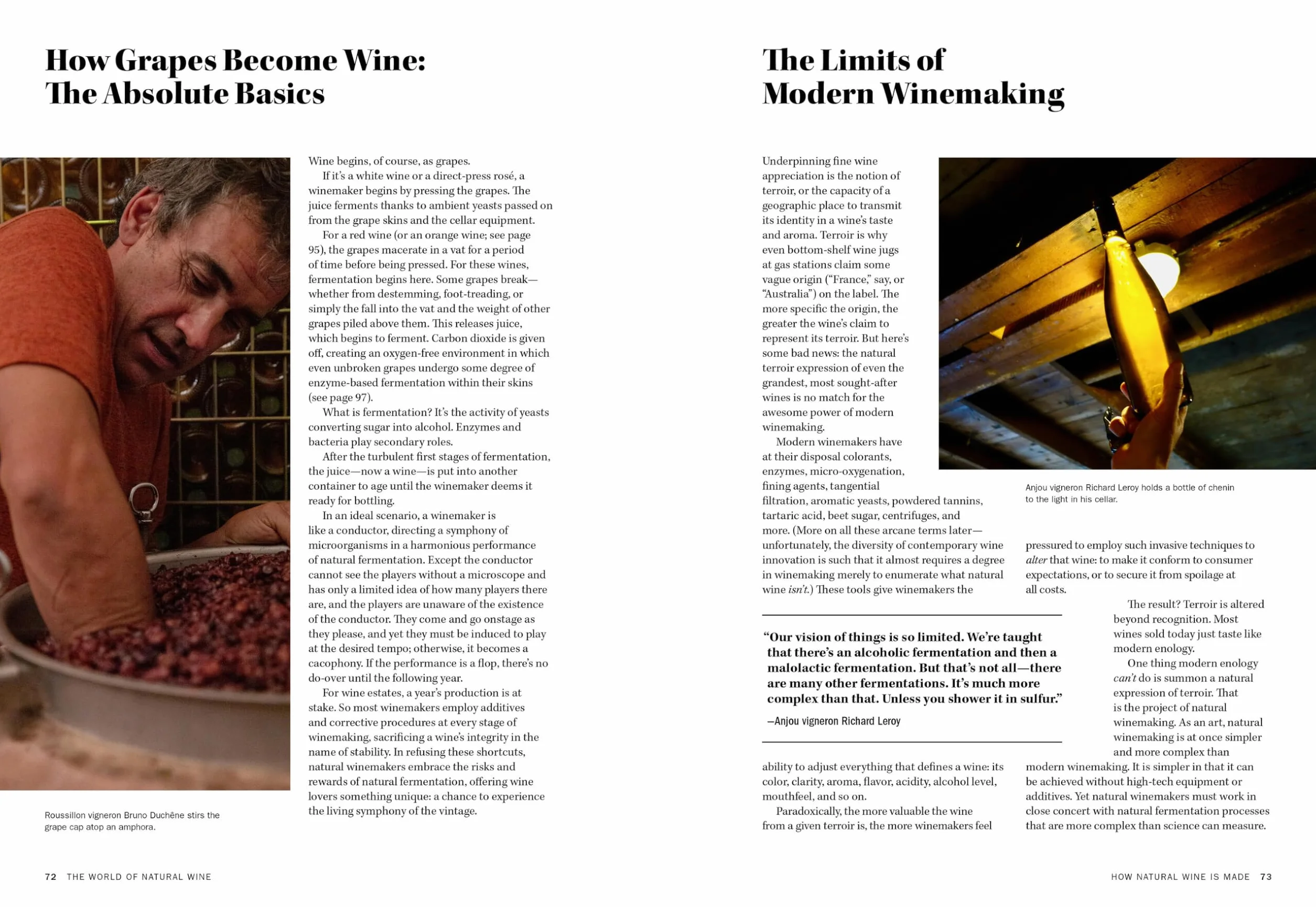 The World of Natural Wine: What It Is, Who Makes It, and Why It Matters