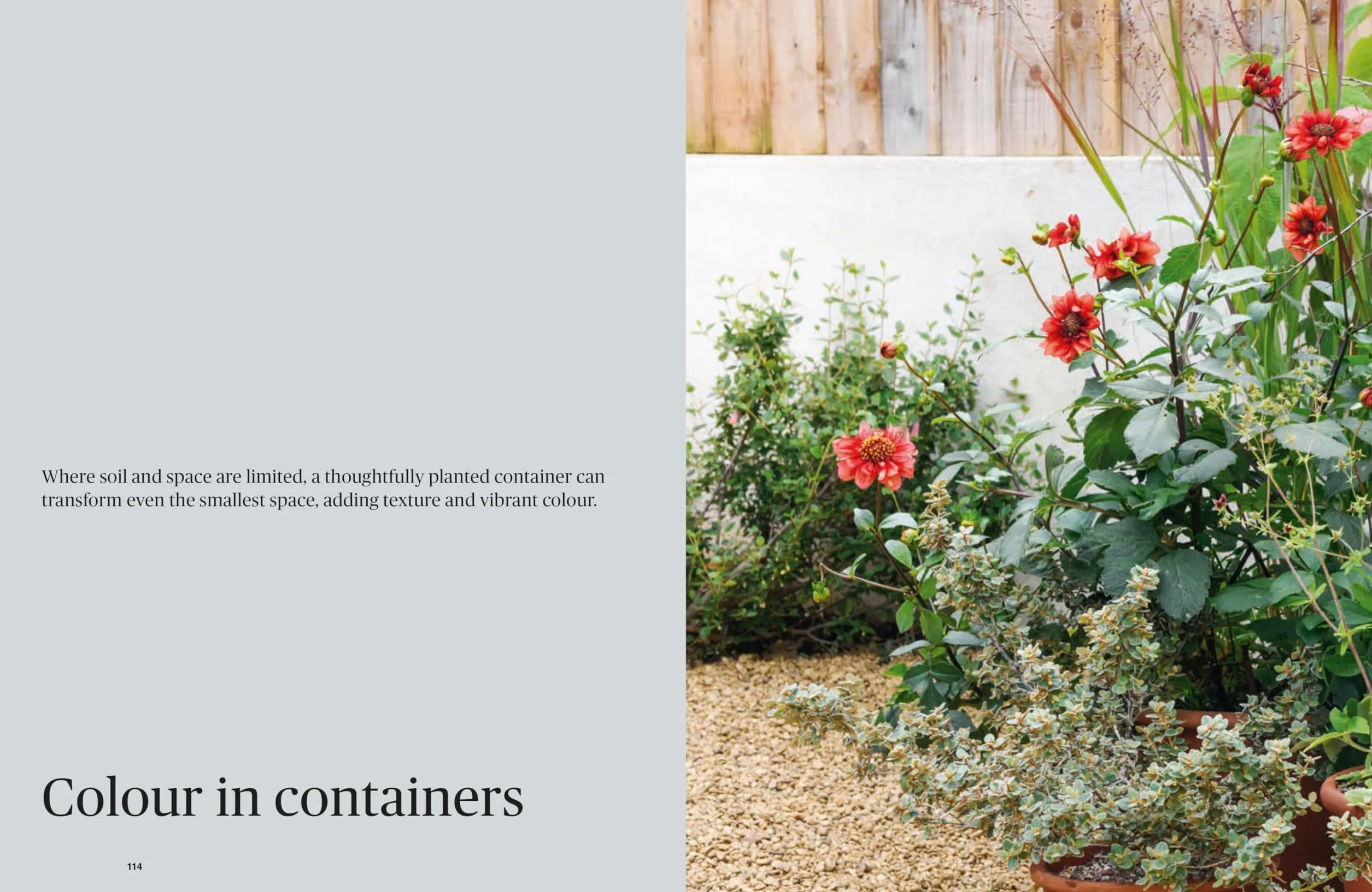 Colour in the Garden: Stylish Ideas for Year-Round Colour