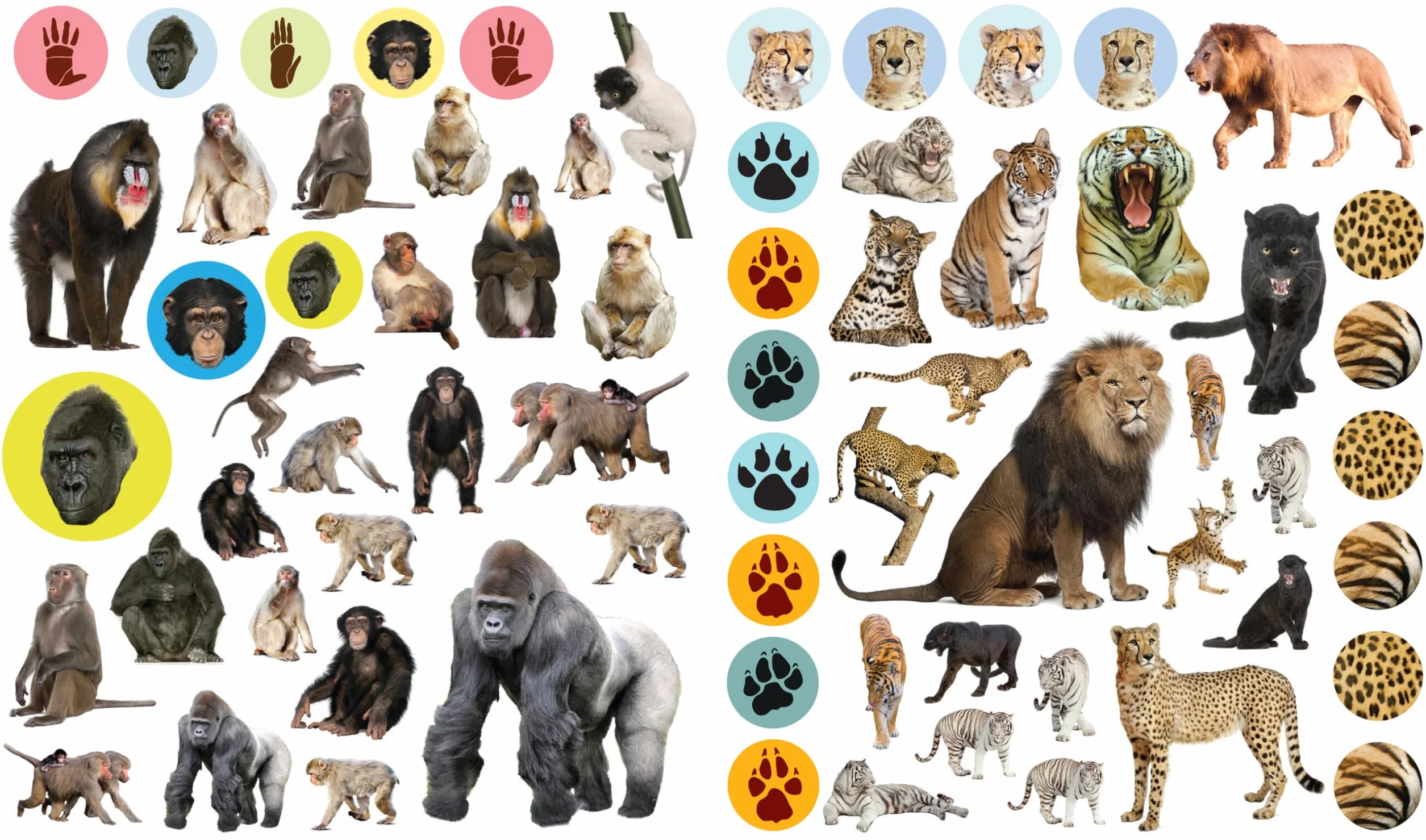 Wild Animals (Eyelike Stickers)