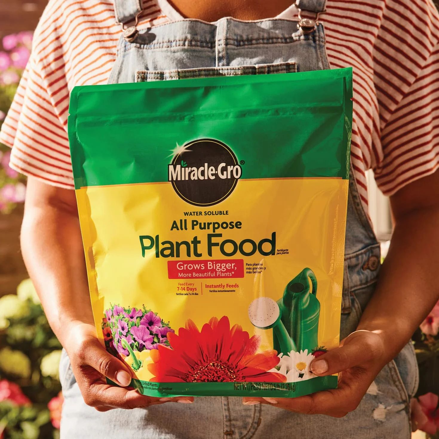 Miracle Gro rozpuszczalny w wodzie uniwersalny pokarm roślinny, 24 8 16, natychmiast nawozi rośliny, wodoodporna torba 2,3 kg.