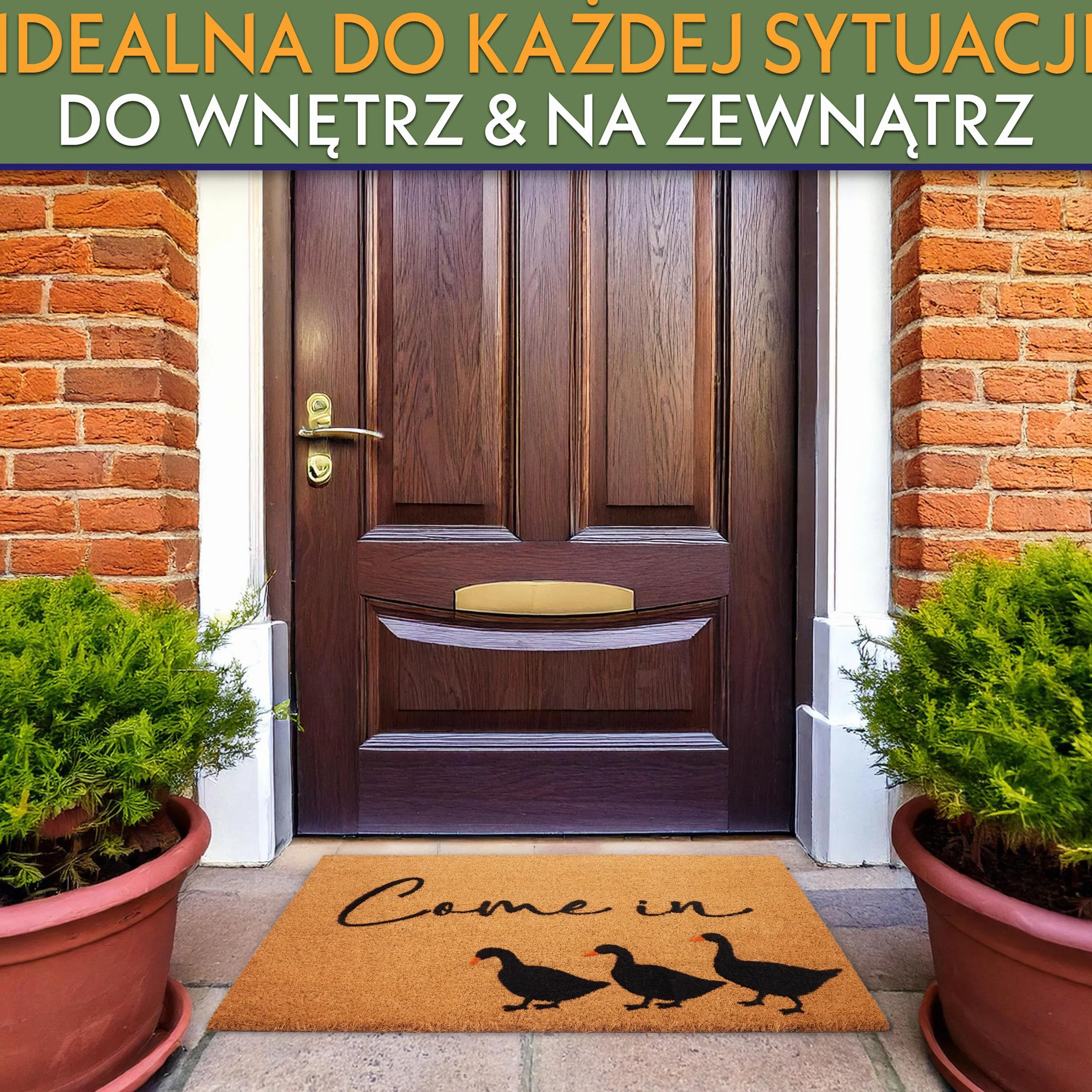 BRUBAKER Wycieraczka Zewnętrzna i Wewnętrzna - Come In - 45 x 75 cm Mata Kokosowa 100% z Gęsią - Mata Wejściowa Antypoślizgowa i Odporna na Pogodę - Wycieraczka do Strefa Wejściowa i Patio - Brązowa