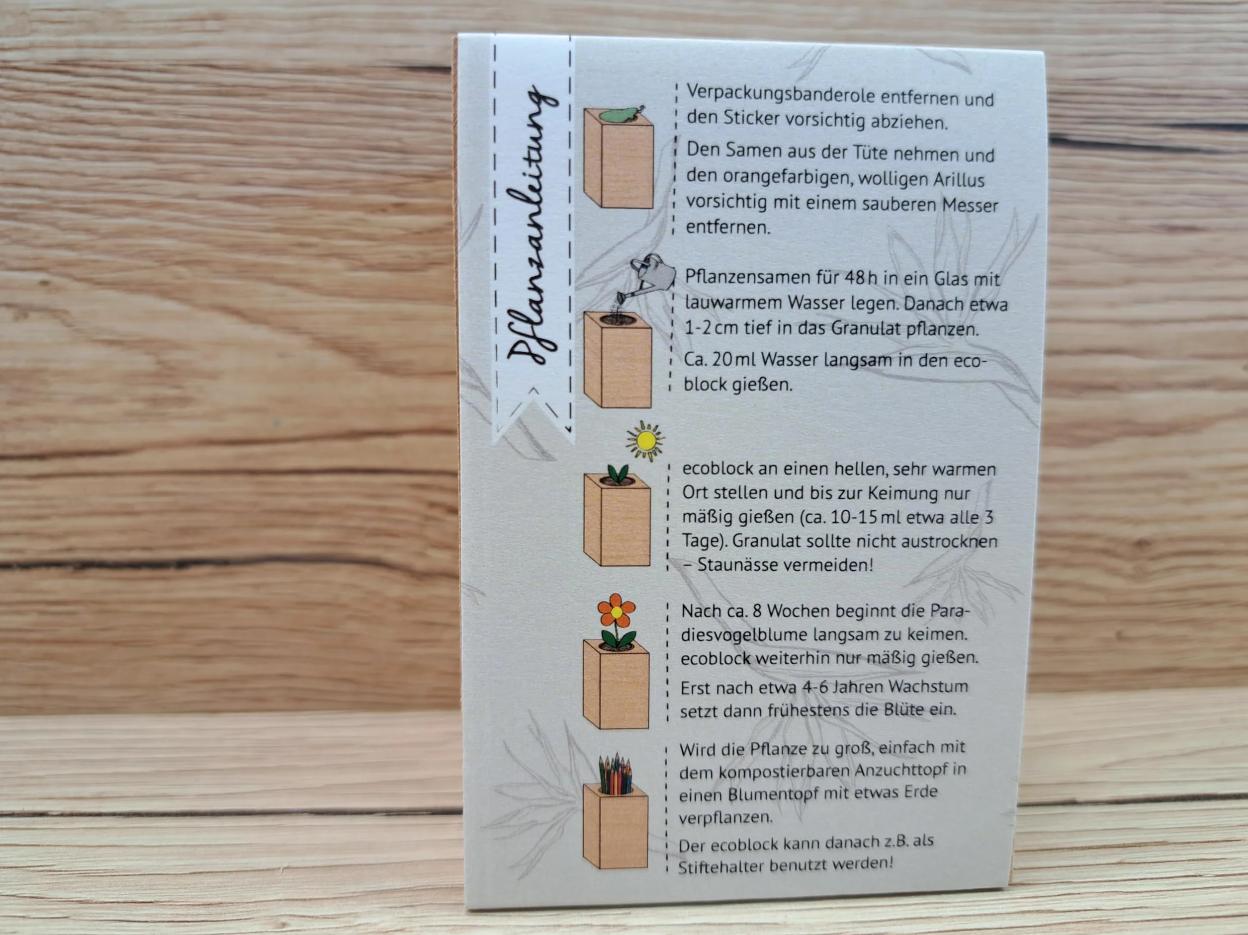 Feel Green ecoblock Rajski ptak kwiat, zrównoważony pomysł na prezent (100% przyjazny dla środowiska), Grow Your Own/zestaw do uprawy, rośliny w bloku drewnianym, wyprodukowano w Austrii