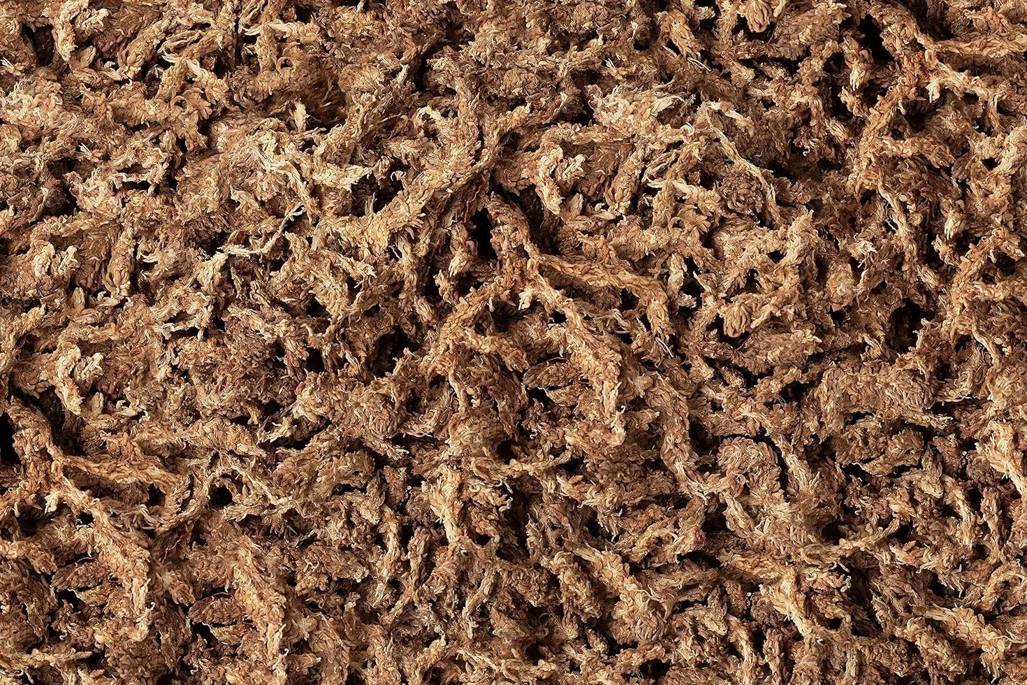 R&R SHOP – 100% naturalny chilijski torfowiec, podłoże do storczyków, bonsai, kokedama i pionowej zieleni (4L - 100gr)