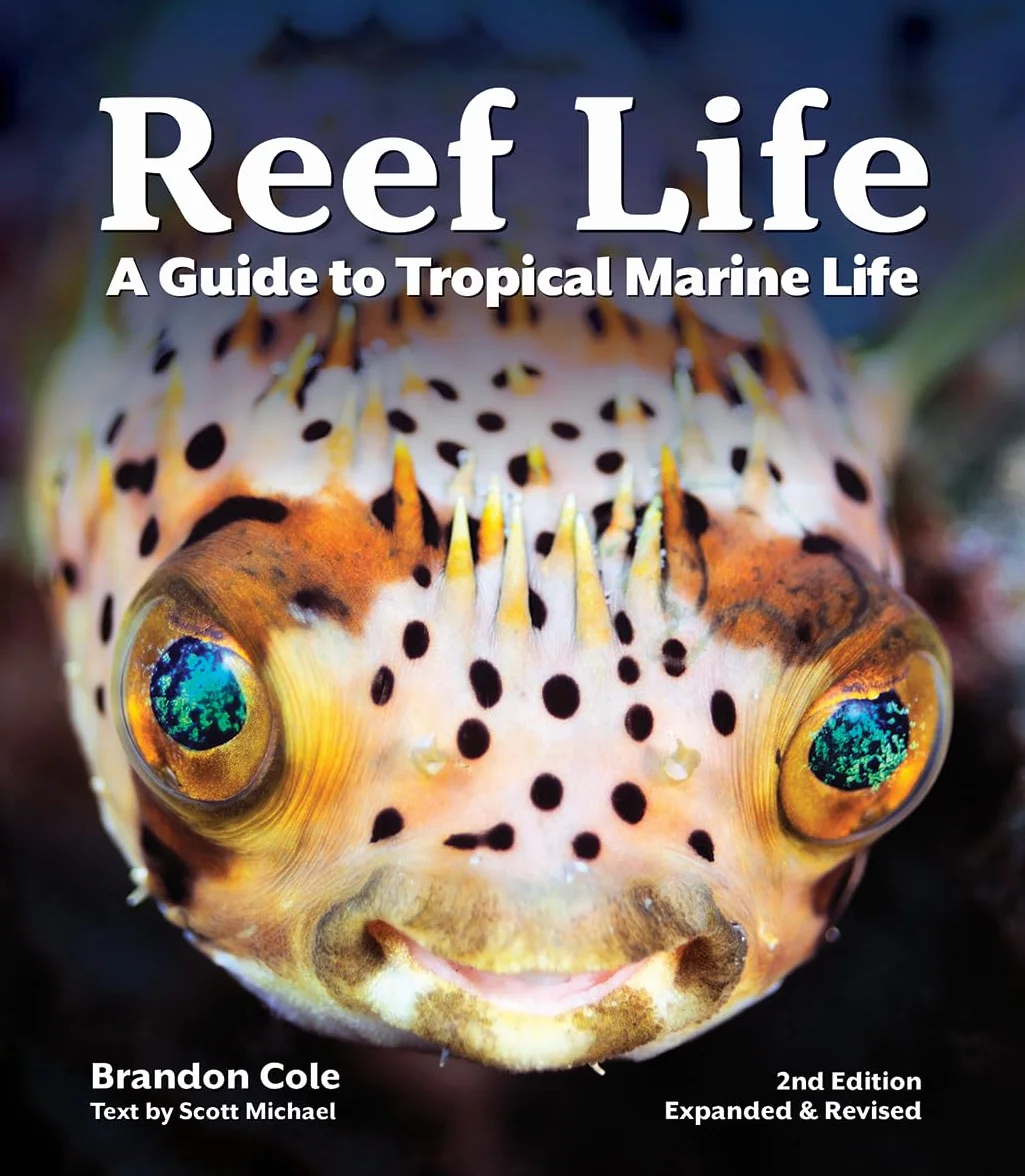 Reef Life: A Guide to Tropical Marine Life