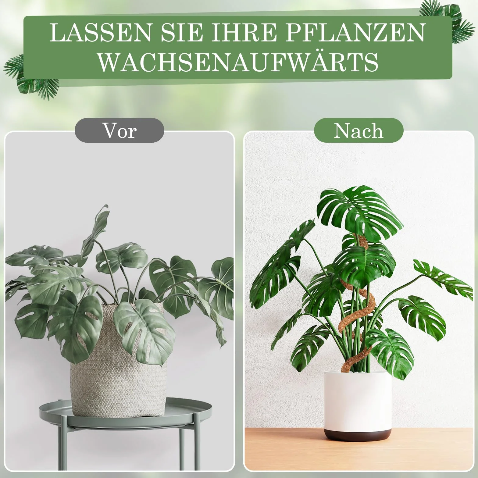 Podpórka do roślin pnących Monstera 75 cm, 2 sztuki prętów, wsparcie dla roślina pokojowych