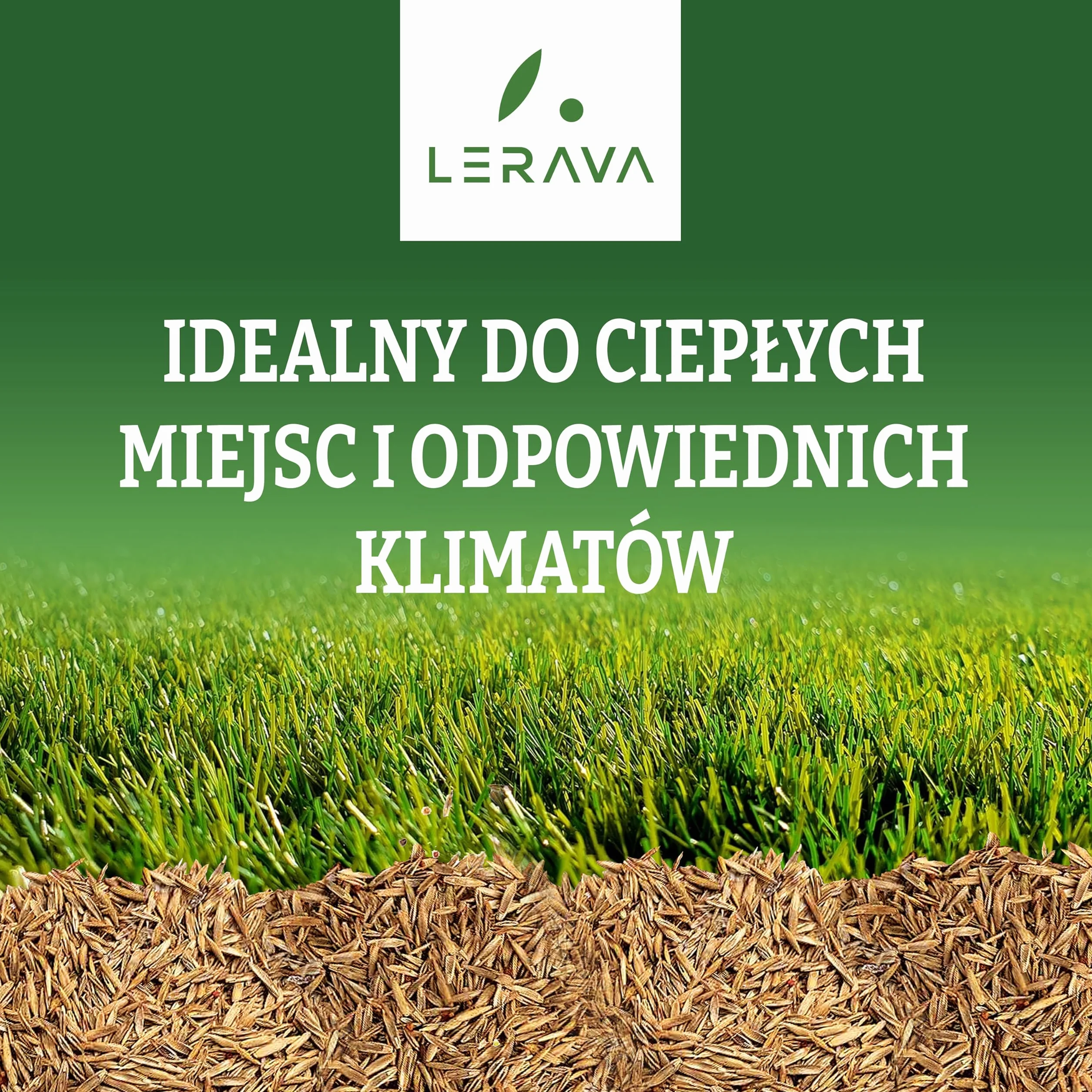 LERAVA Champion Nasiona Trawy odporne na suszę 30m² - trawnik o niskim zapotrzebowaniu na wodę - wytrzymały na deptanie - odpowiedni do wszystkich rodzajów gleby