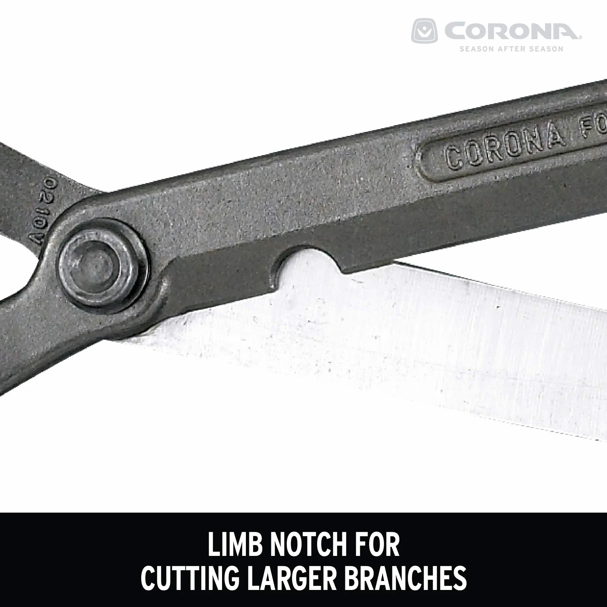 Corona HS 3911 Forged Hedge Shear, 8-1/4-Inch Blade