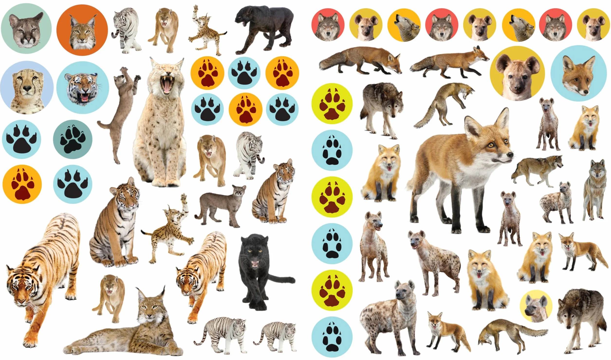 Wild Animals (Eyelike Stickers)