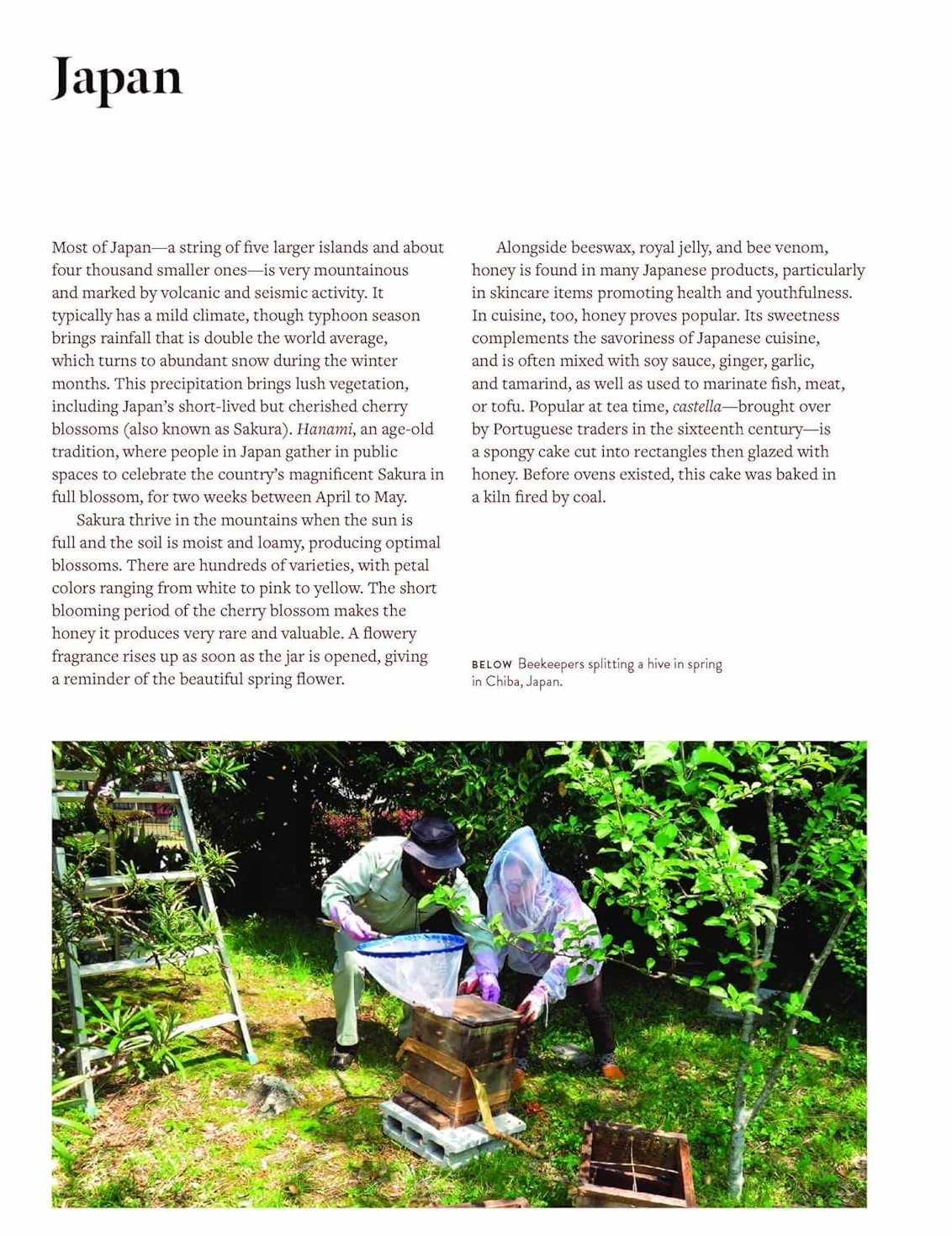 The World Atlas of Honey