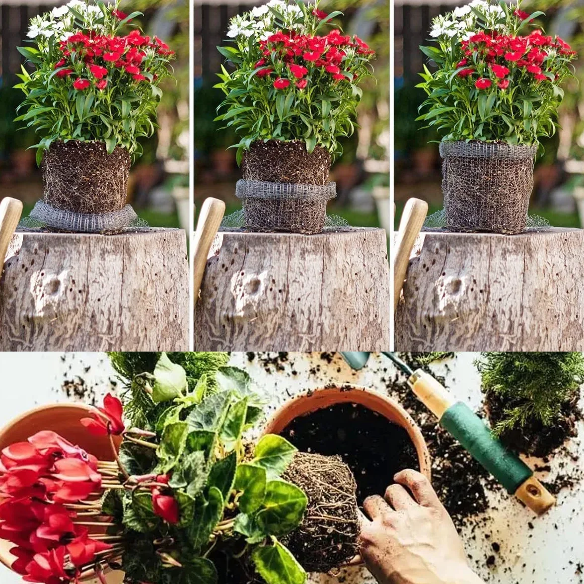 3 szt. Siatka ochronna Siatka ze stali nierdzewnej Siatka siatkowa Ochrona korzeni roślin Gopher i Kosze z drutu powietrznego Ochrona roślin, drzew, kwiatów i żarówek wolframowych (63 x 65 cm)