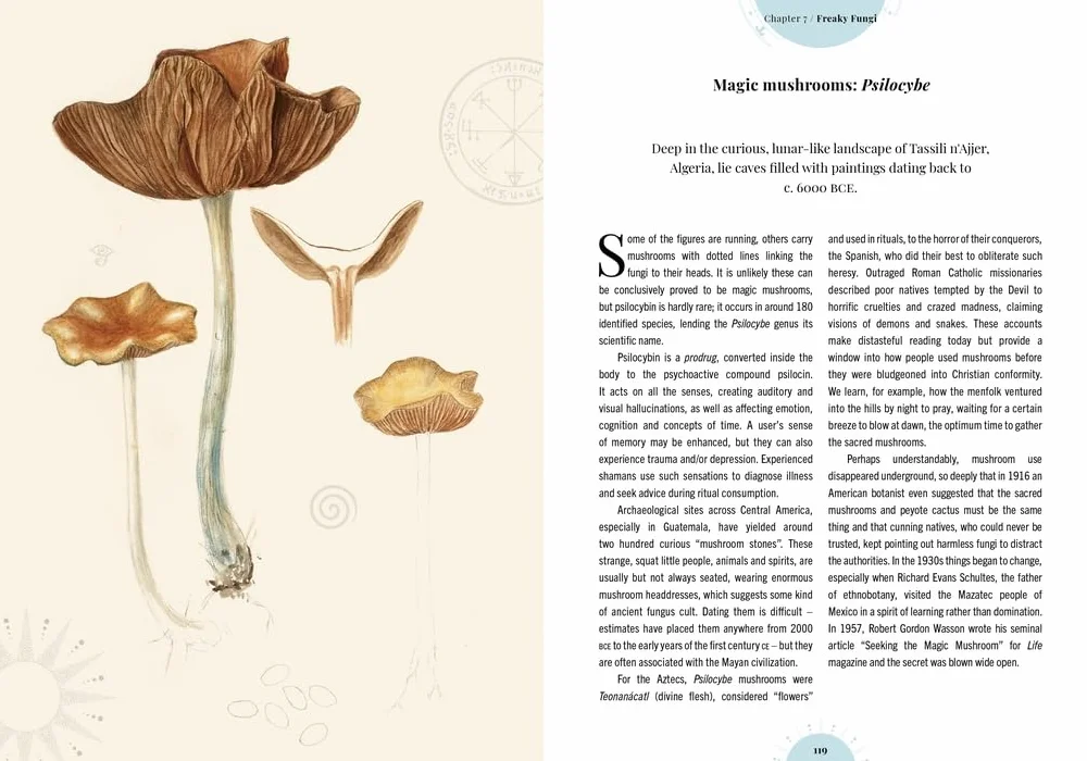The Psychedelic Garden: Mind-Altering Plants in Folklore, Superstition and Popular Culture