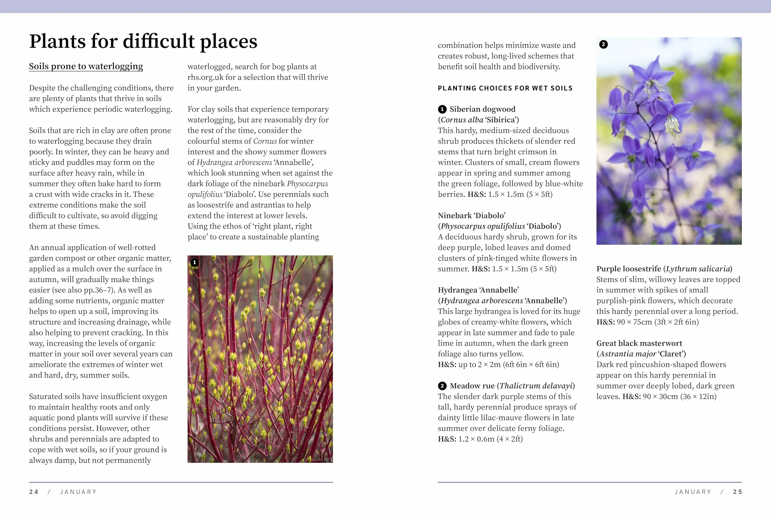 Rhs the Garden Almanac 2026: The Month-By-Month Guide to Your Best Ever Gardening Year