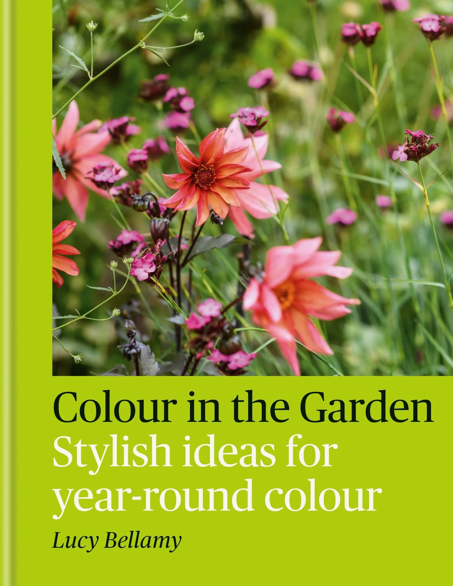 Colour in the Garden: Stylish Ideas for Year-Round Colour