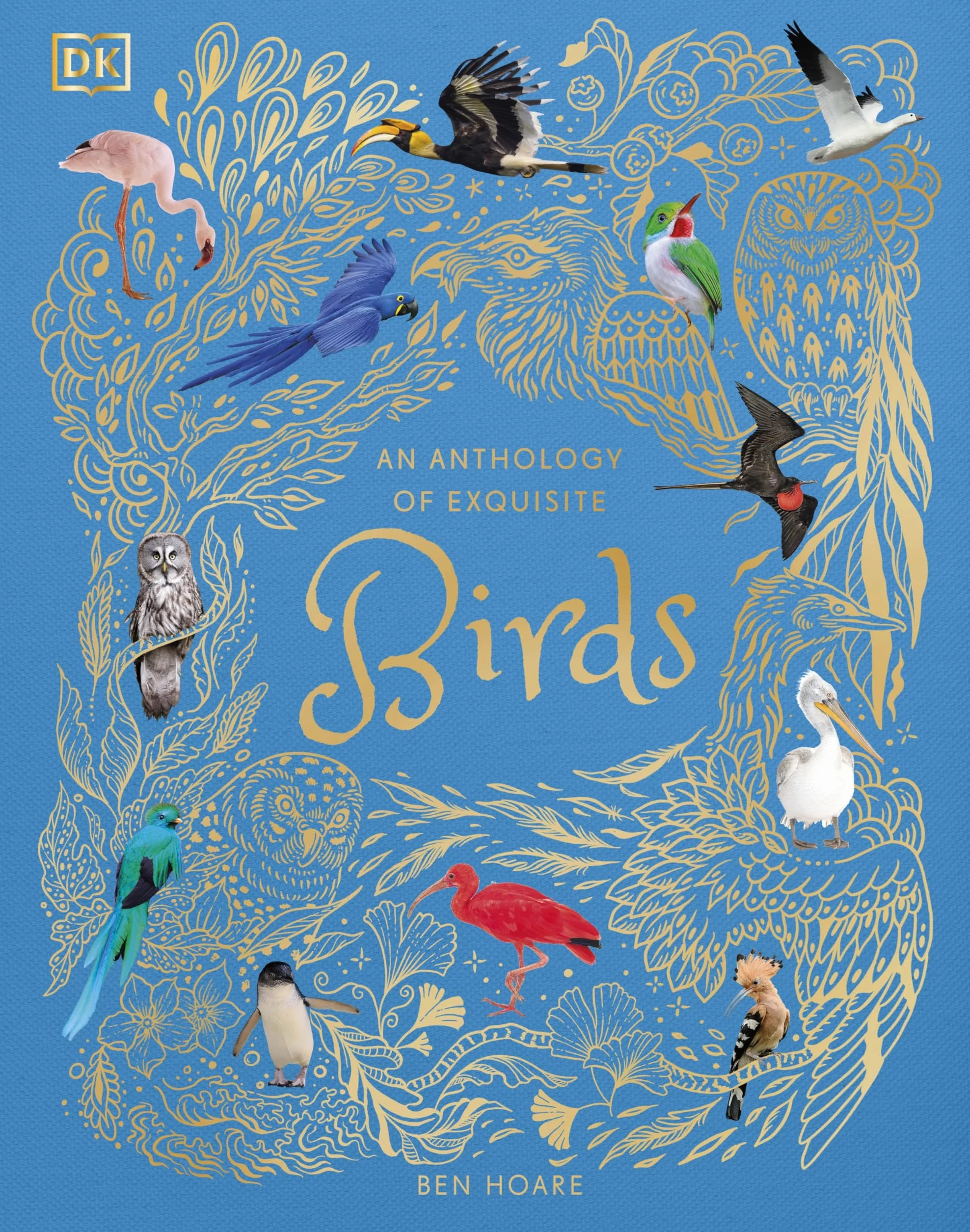 An Anthology of Exquisite Birds: Discover the Beauty of the Avian World