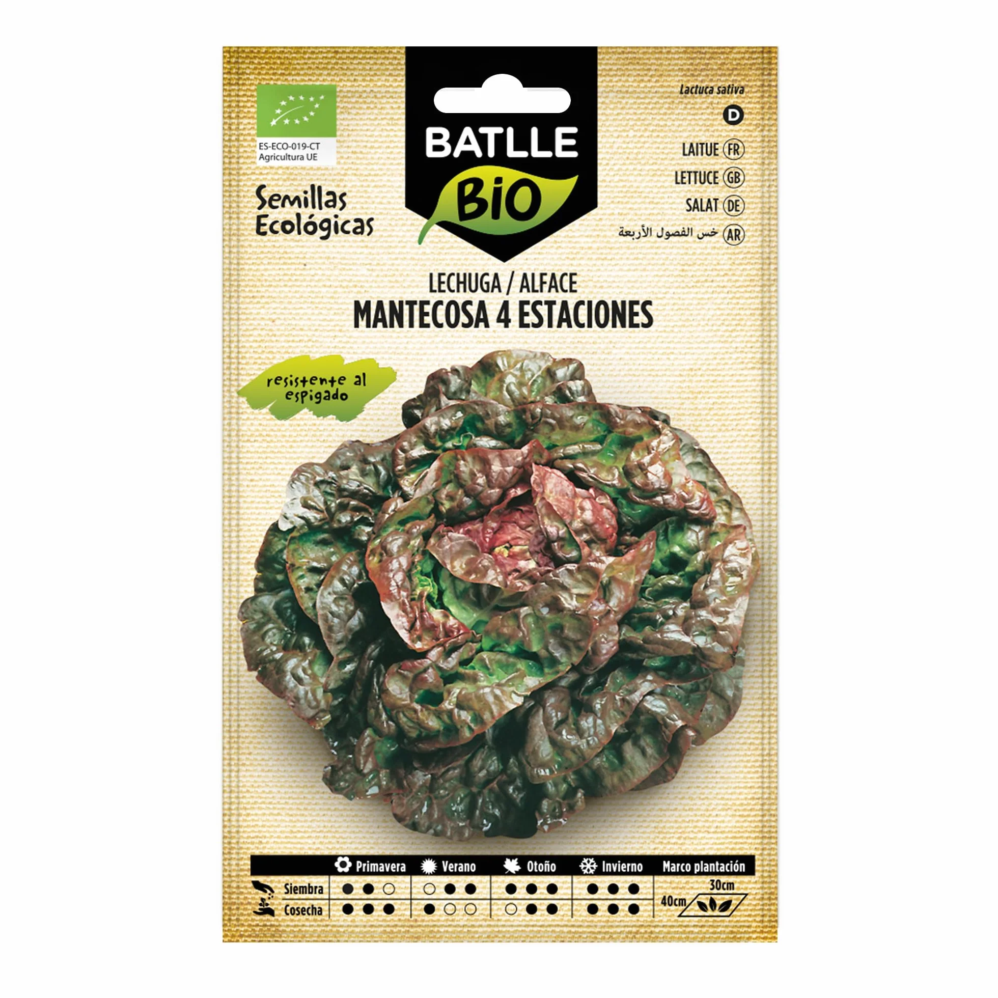Bio nasiona - sałata na cztery pory roku (400 nasion - organiczna)