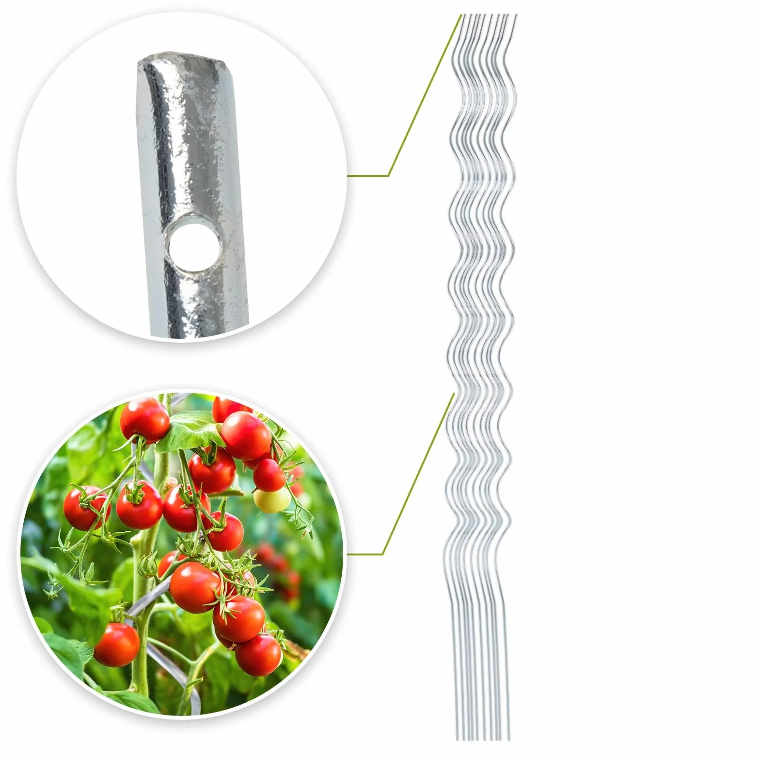 Floordirekt Pręty spiralne do pomidorów wraz z zestawem akcesoriów – długość 180 cm – 10 sztuk – drążek do pomidorów – pręt spiralny – stojak do roślin pnących – stojak do roślin pnących – pręt do