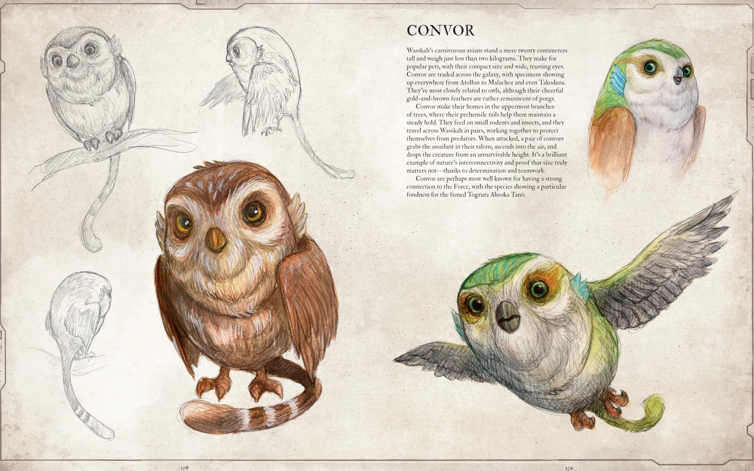Star Wars Bestiary, Vol.1