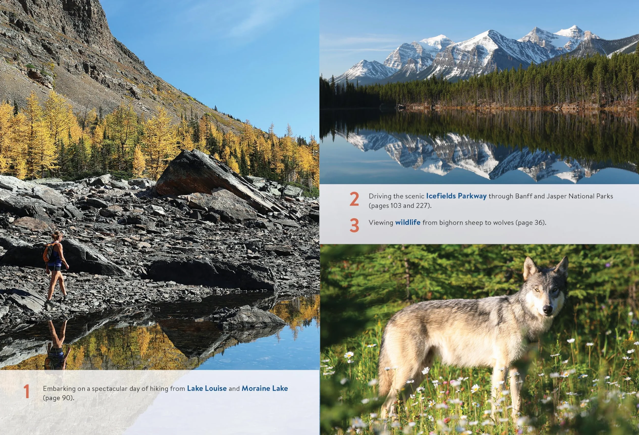 Moon Canadian Rockies: With Banff & Jasper National Parks: Scenic Drives, Wildlife, Hiking & Skiing