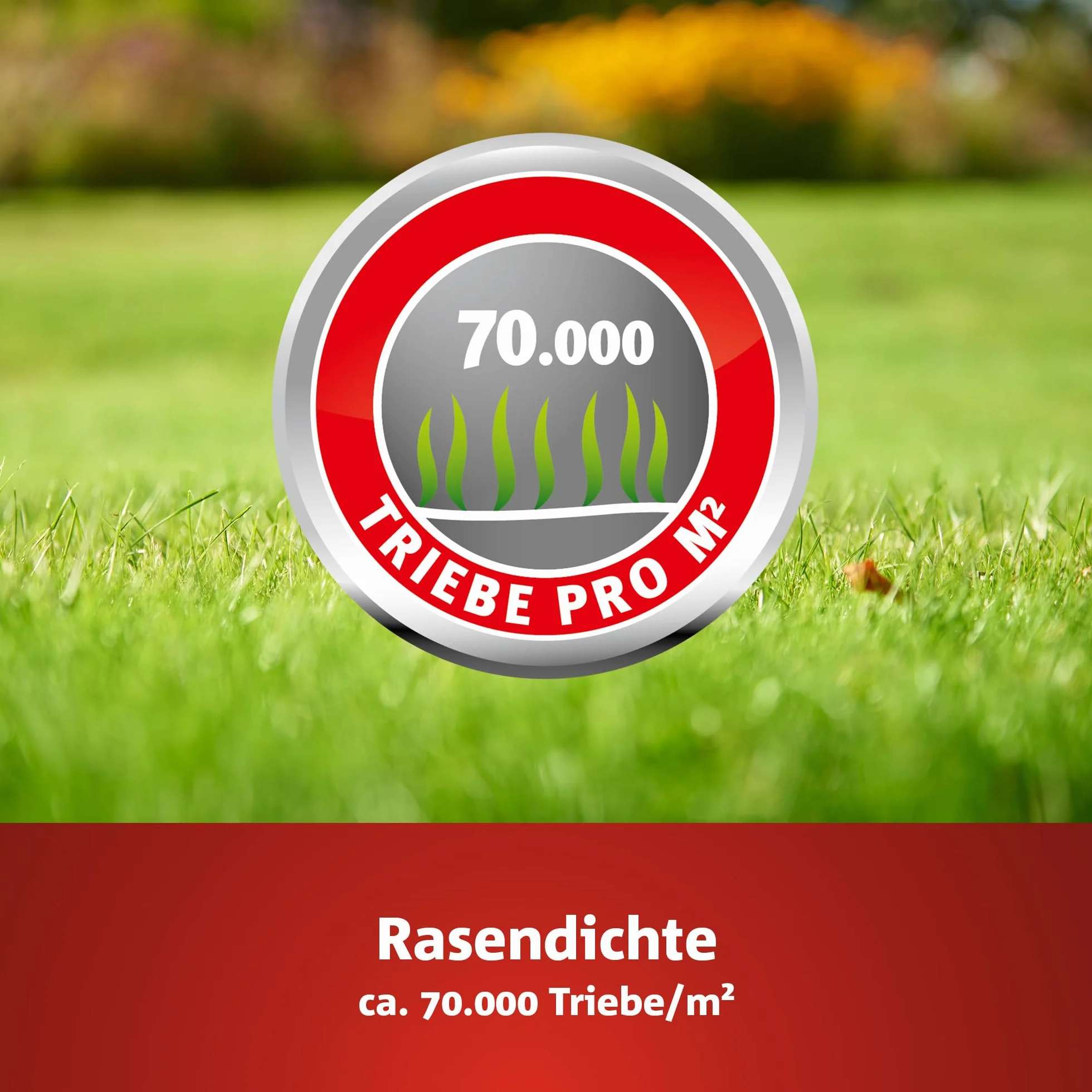 WOLF Garten Premium L-TP 50 m² trawnik, kolor czerwony