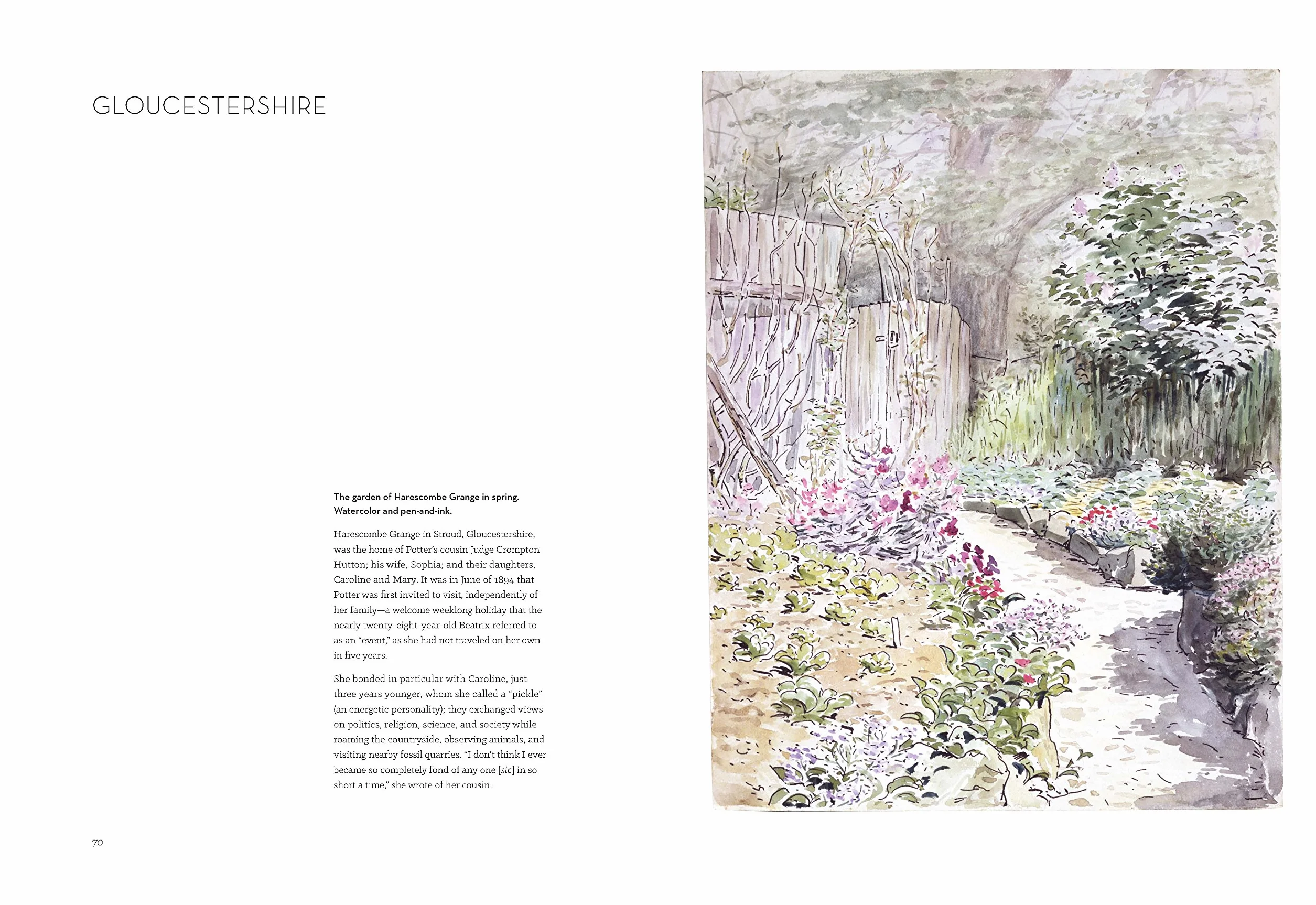 The Art of Beatrix Potter: Sketches, Paintings, and Illustrations