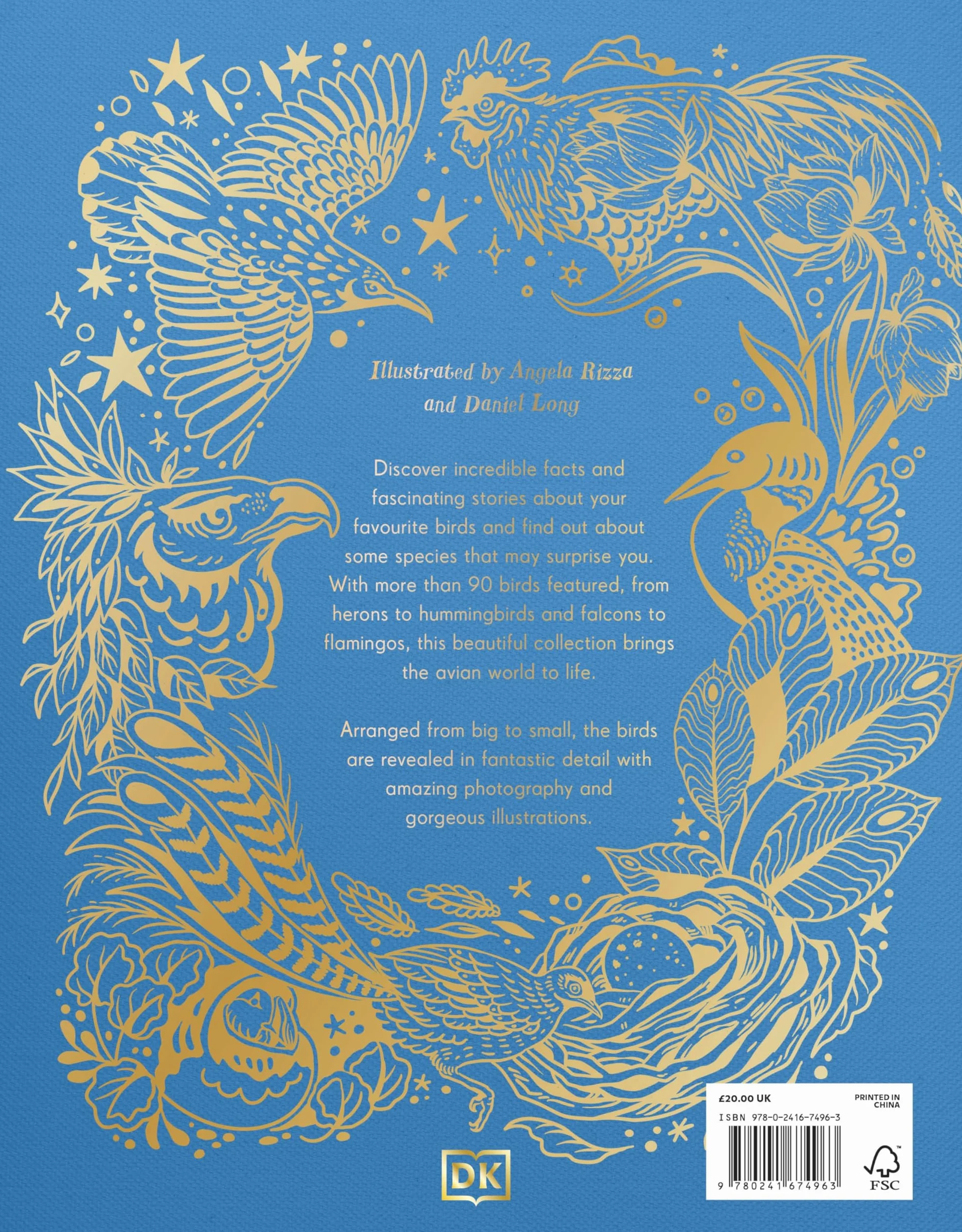 An Anthology of Exquisite Birds: Discover the Beauty of the Avian World