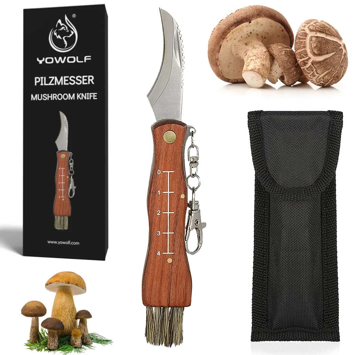 Nóż do grzybów ze szczotką i linijką, nóż składany Premium Champignon, scyzoryk ze stali nierdzewnej, wysokiej jakości trufla scyzoryk z kółkiem na klucze, nóż z torbą