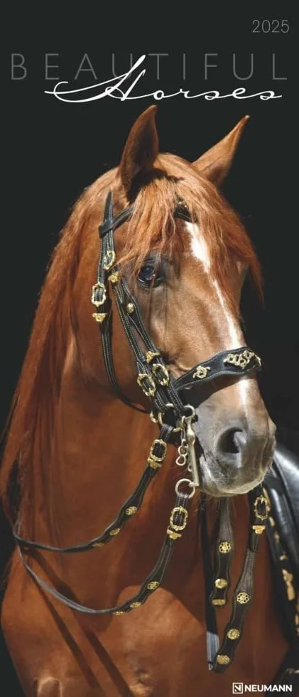 N NEUMANNVERLAGE - Beautiful Horses 2025 Wandkalender, 30x70cm, Kalender mit zwölf grandiosen Pferdeportraits, außergewöhnliche Aufnahmen, Spiralbindung und internationales Kalendarium