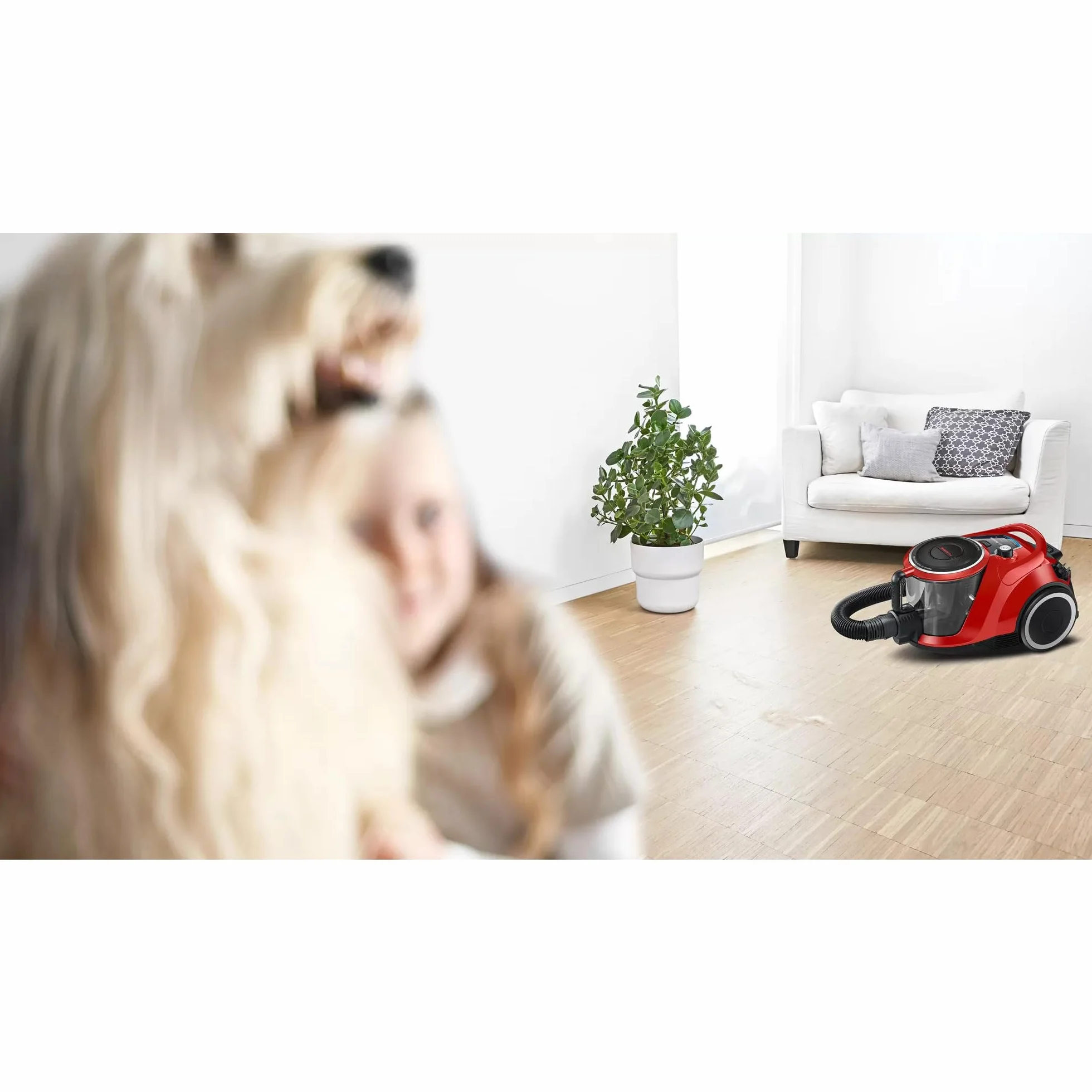 Bosch Hausgeräte Seria 6 Odkurzacz Workowy, Czerwony, 600W 240V