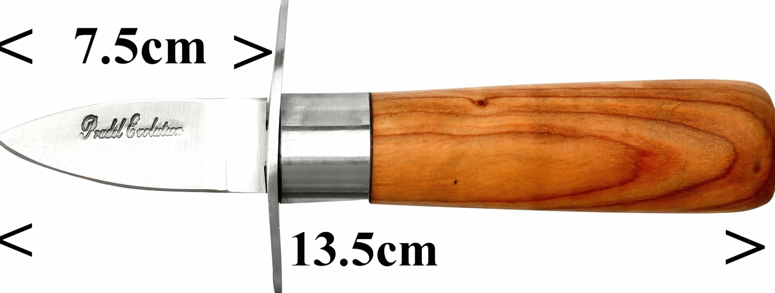Laguiole Artisan Couteau à huître SAFETY PRO 13,5 cm Lancette à huitre teck avec garde