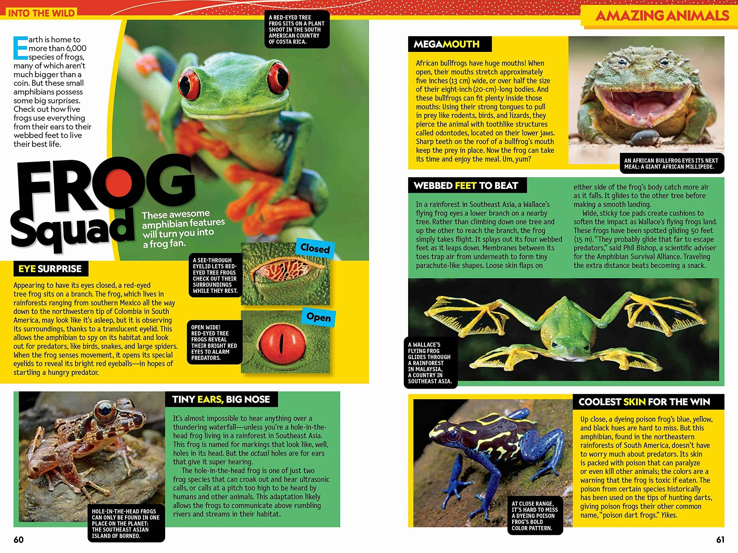 National Geographic Kids Almanac 2024 (US edition)