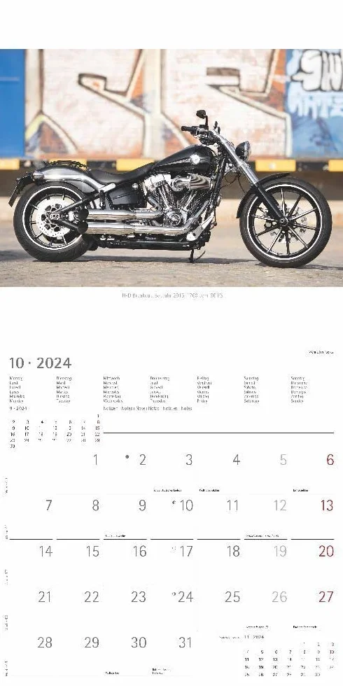 Harleys 2024 - Broschürenkalender 30x30 cm (30x60 geöffnet) - Kalender mit Platz für Notizen - Motorräder - Bildkalender - Wandplaner - Harley-Davidson