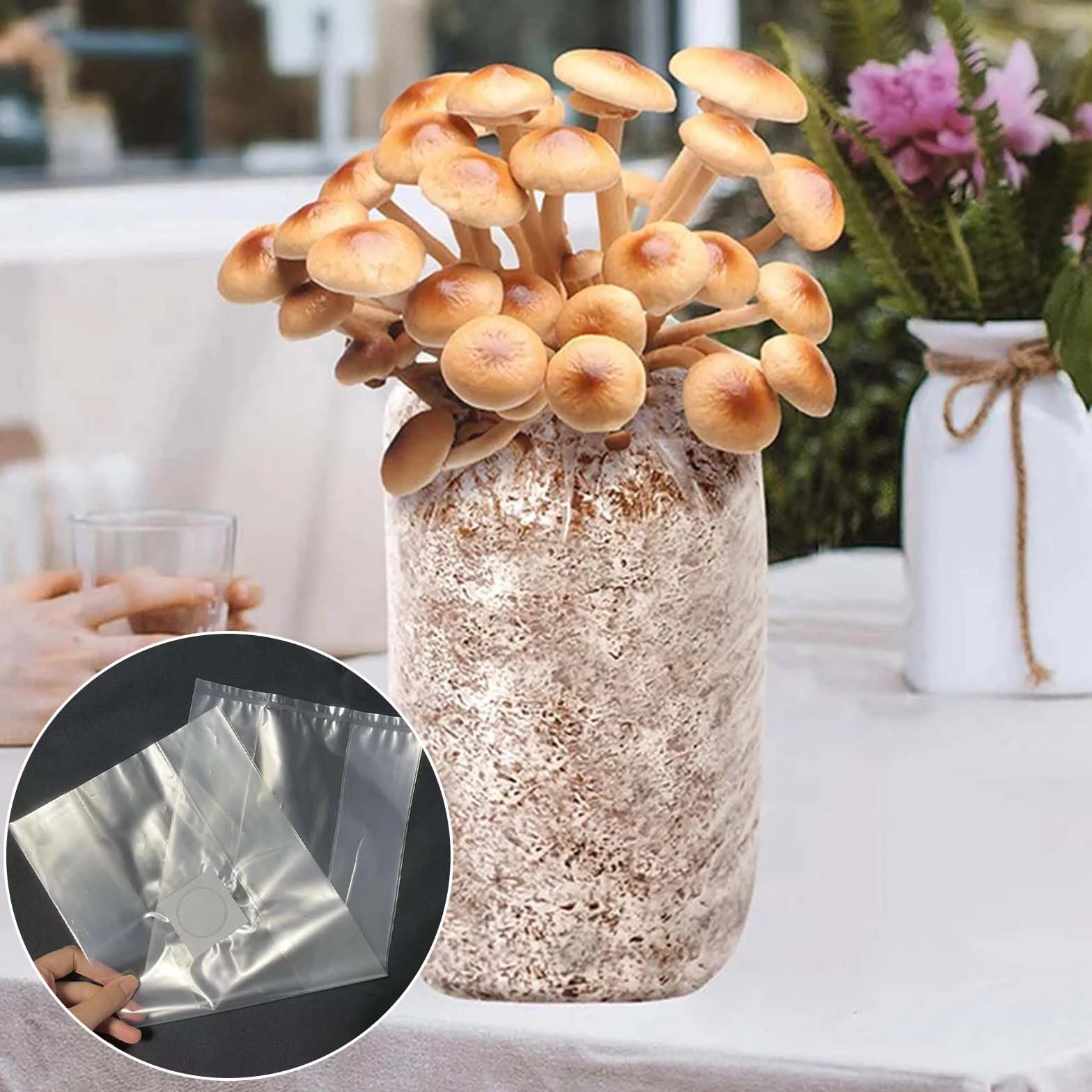 30 sztuk worków do uprawy grzybów: 32 x 50 cm, worek do uprawy grzybów PP z filtrem 0,2 mikrometra, Mushroom Spawn Grow Bag do grzybów shiitake, enoki, boczniaków itd.