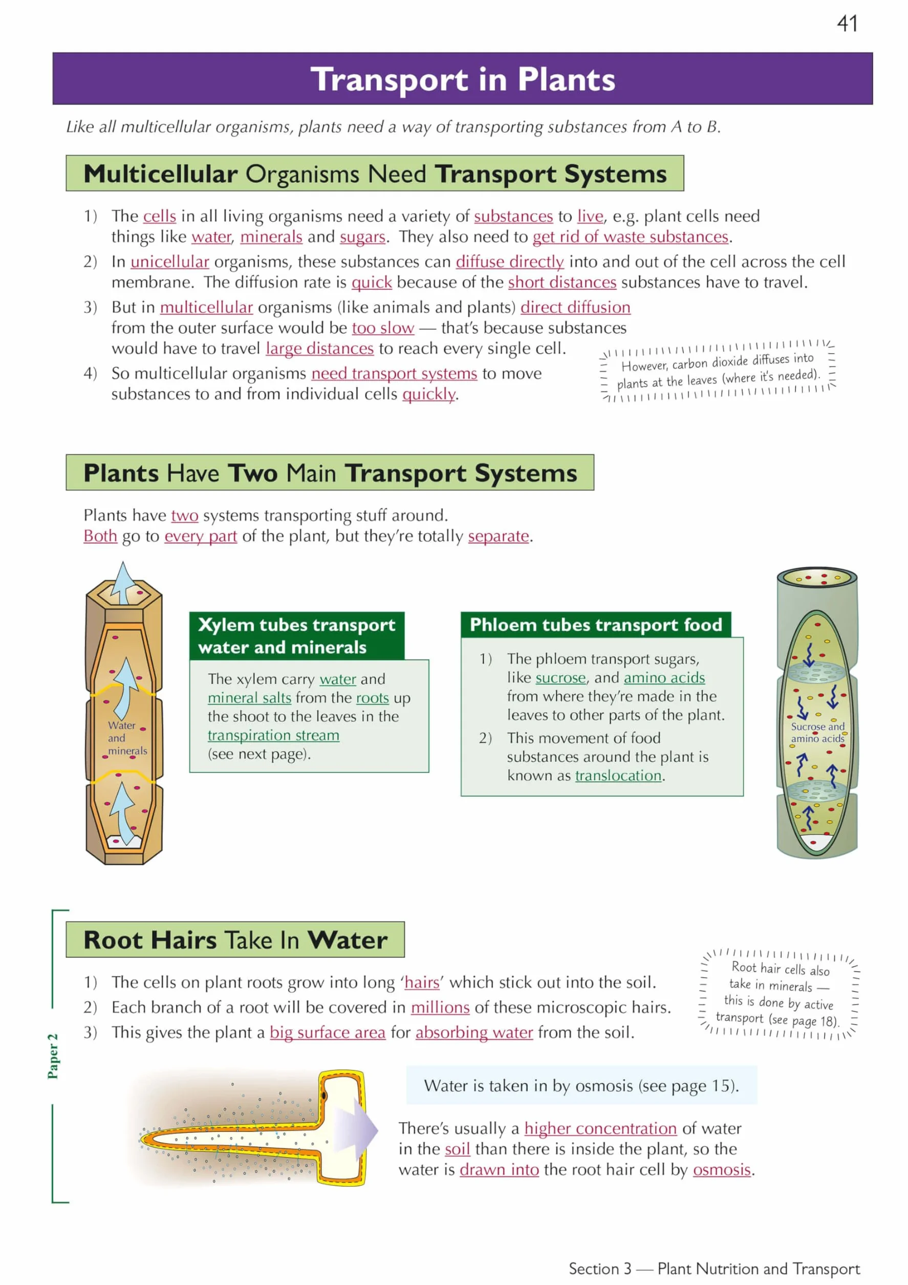 Edexcel International GCSE Biology Complete Revision & Practice: Includes Online Videos & Quizzes
